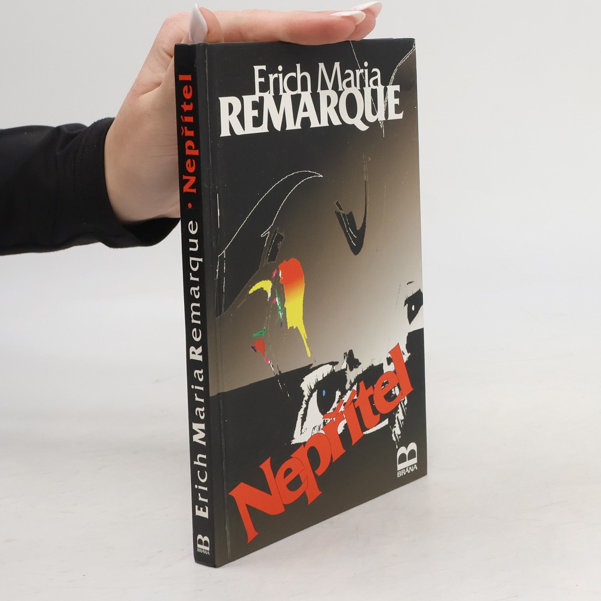 Erich Maria Remarque Nepřítel