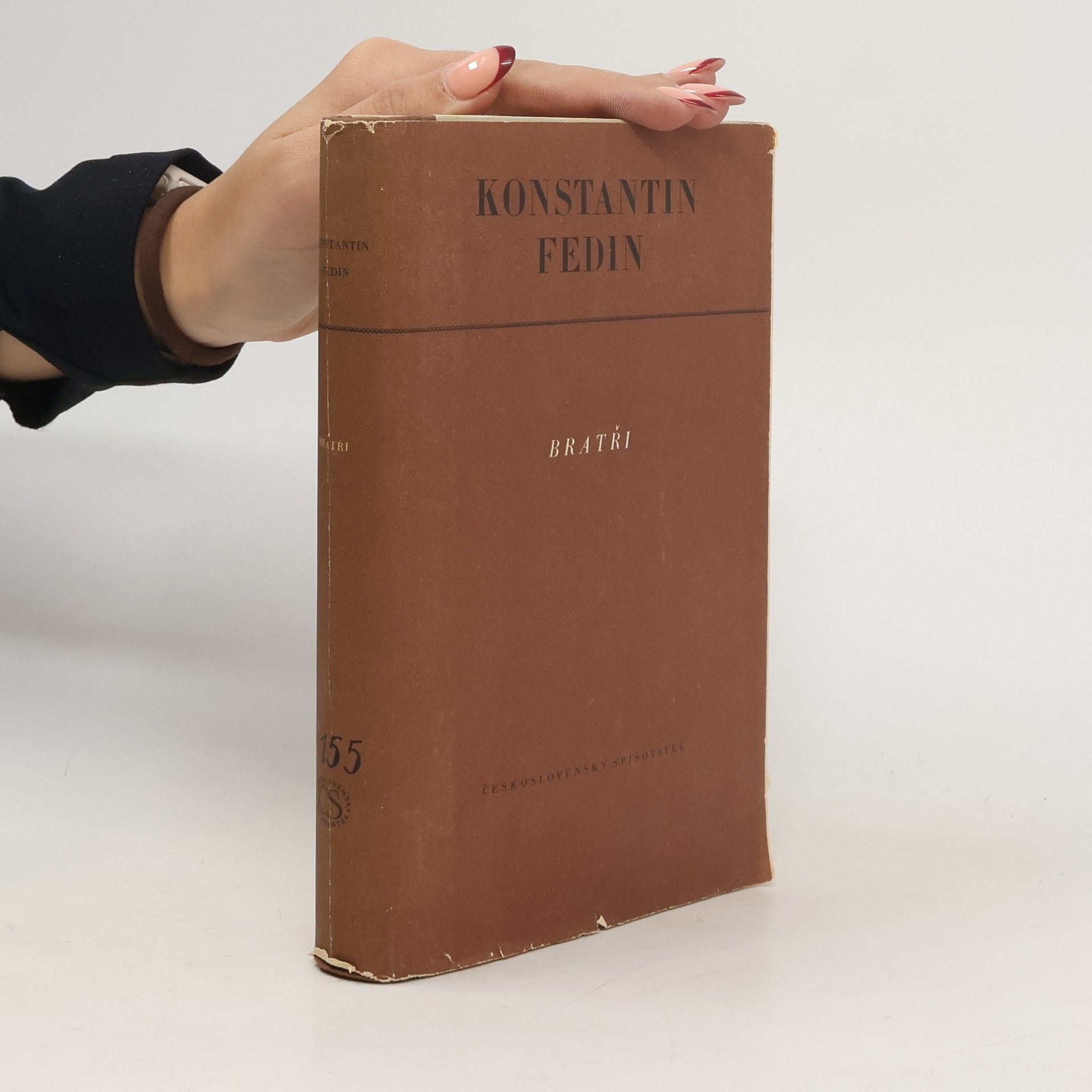 Konstanin Fedin Bratři