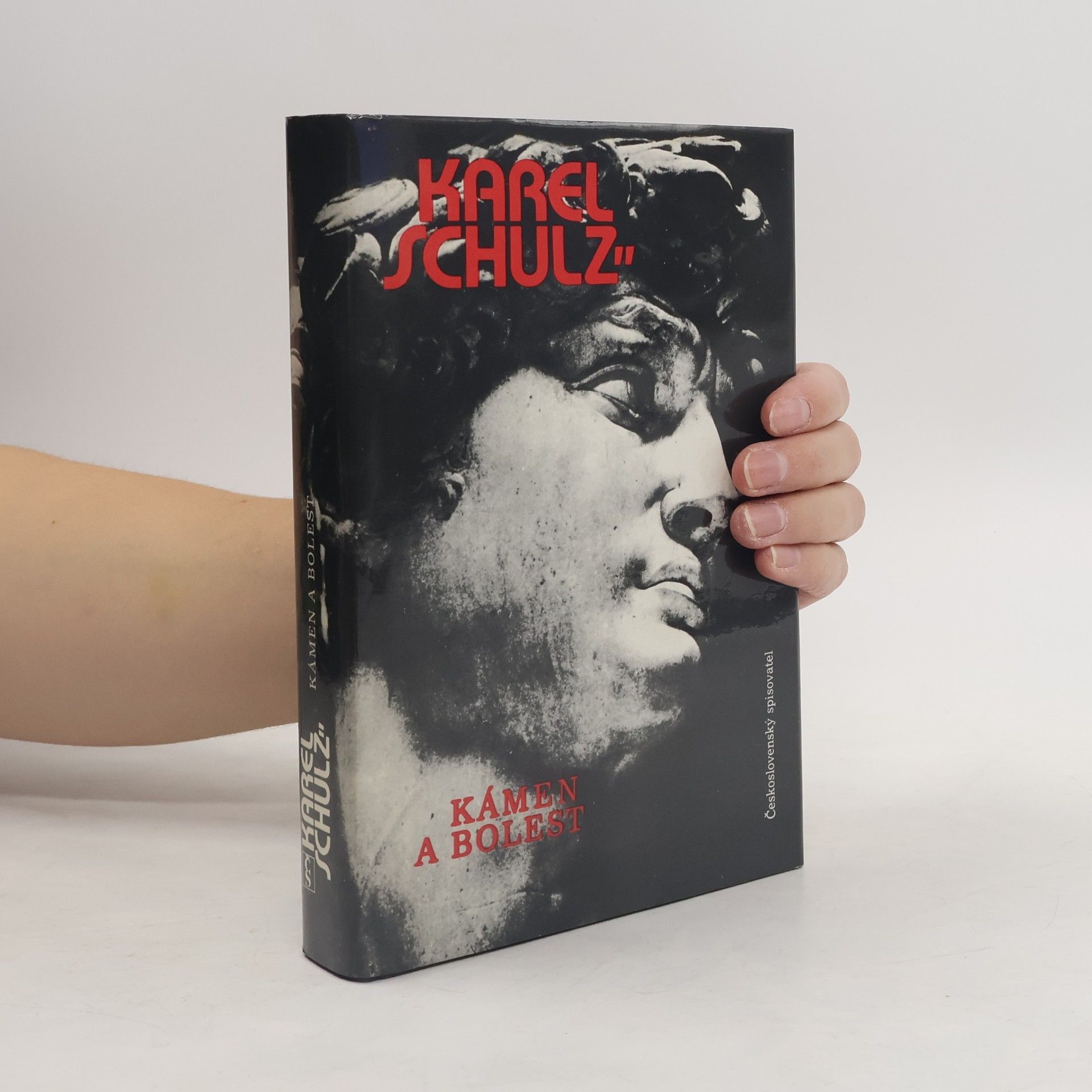 Karel Schulz Kámen a bolest