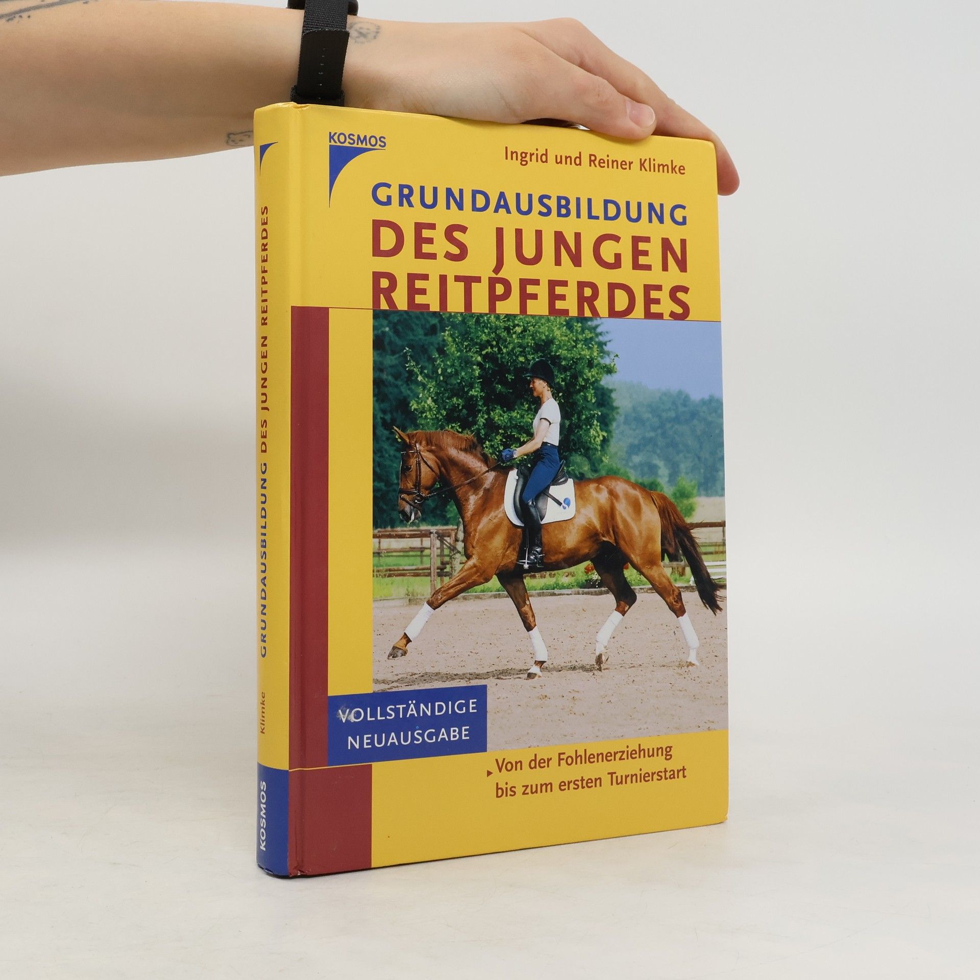 Ingrid Klimke Profi-Tips Cavaletti