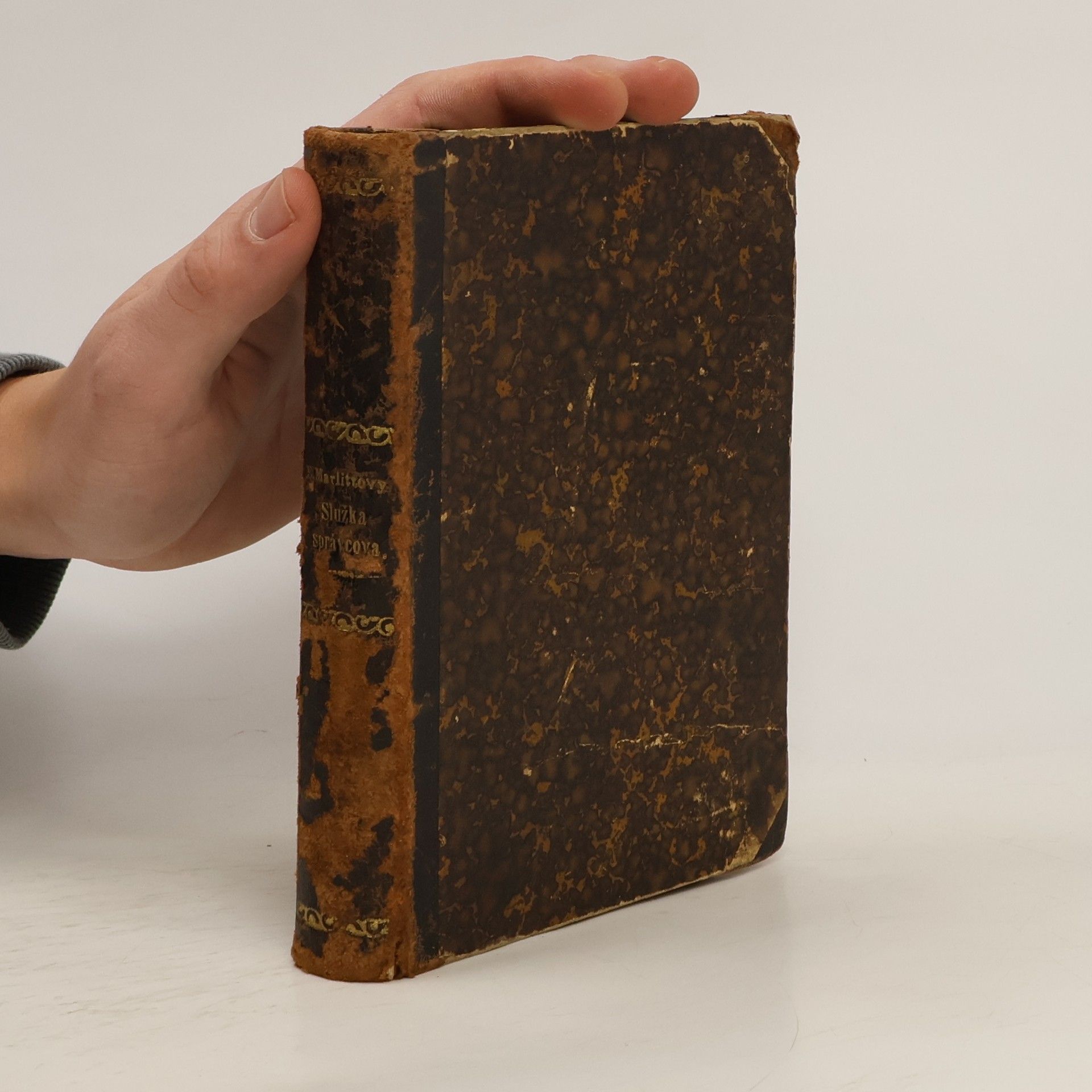 Eugenie Marlitt Služka správcova