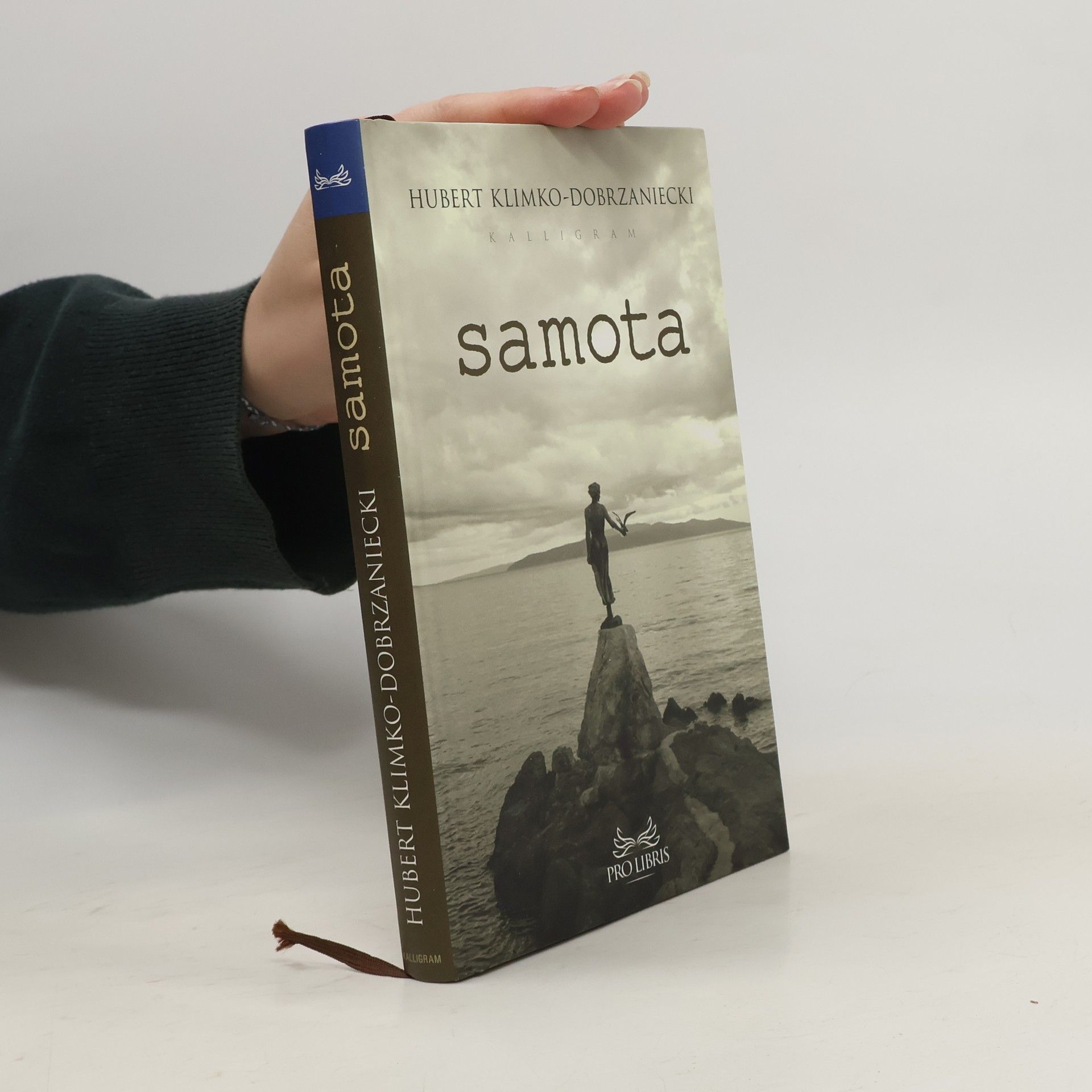 Hubert Klimko Dobrzaniecki Samota