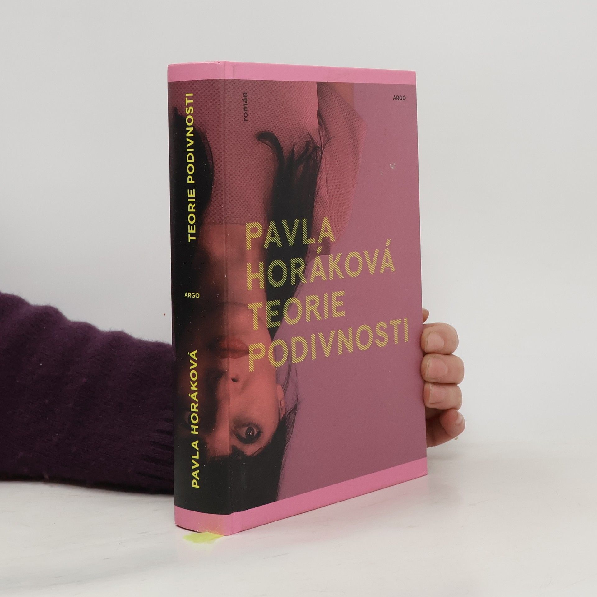 Pavla Horáková Teorie podivnosti