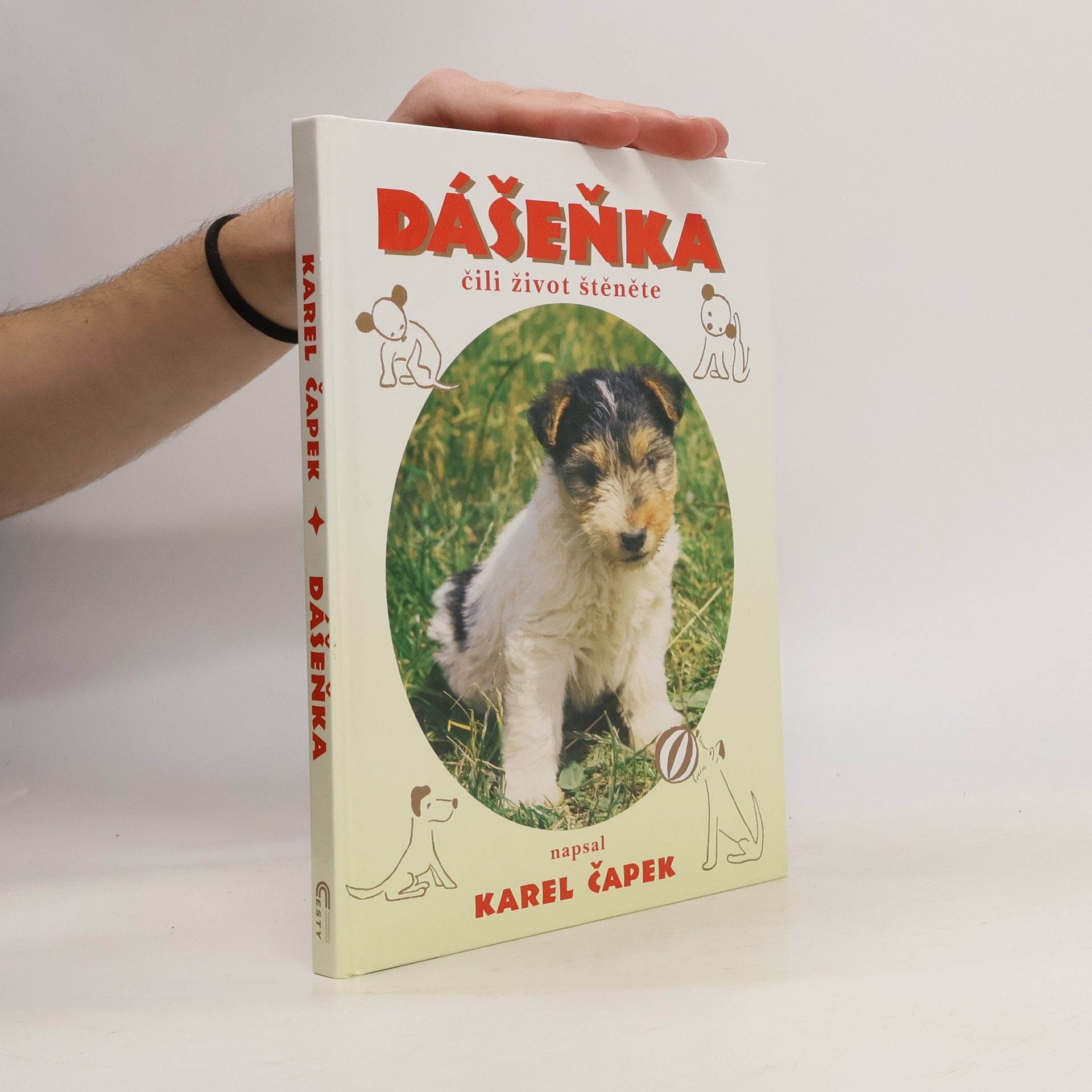 Dášeňka, čili, Život štěněte