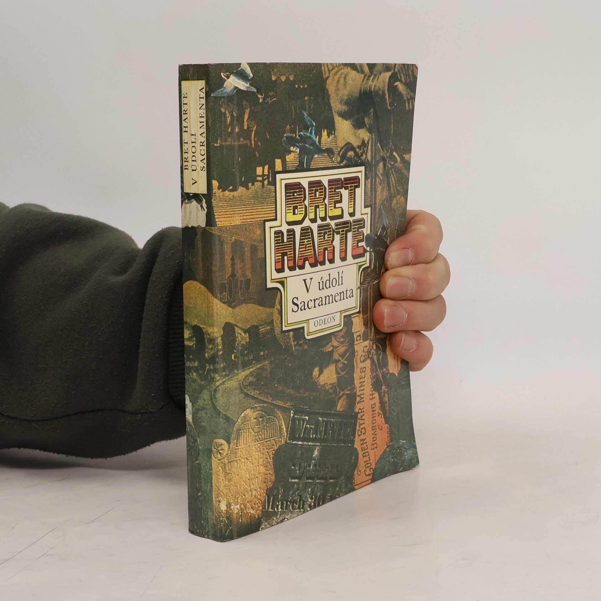 V údolí Sacramenta