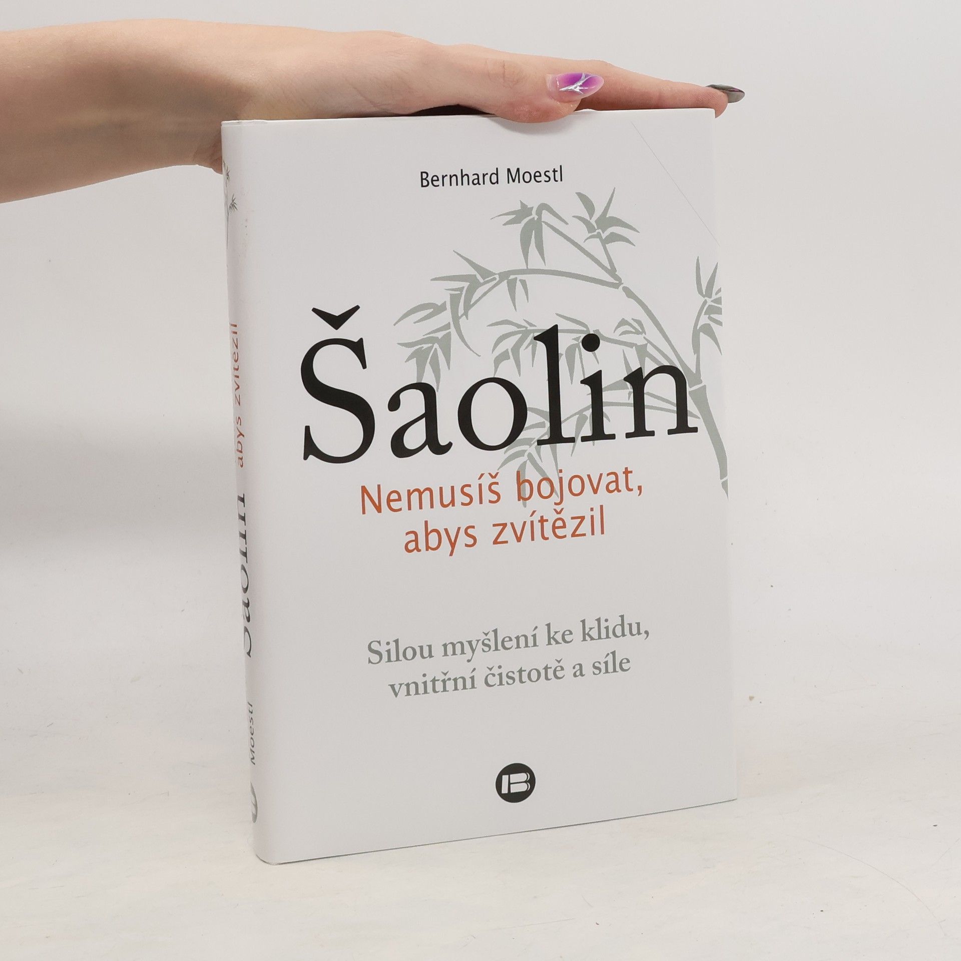 Bernhard Moestl Šaolin: Nemusíš bojovat, abys zvítězil