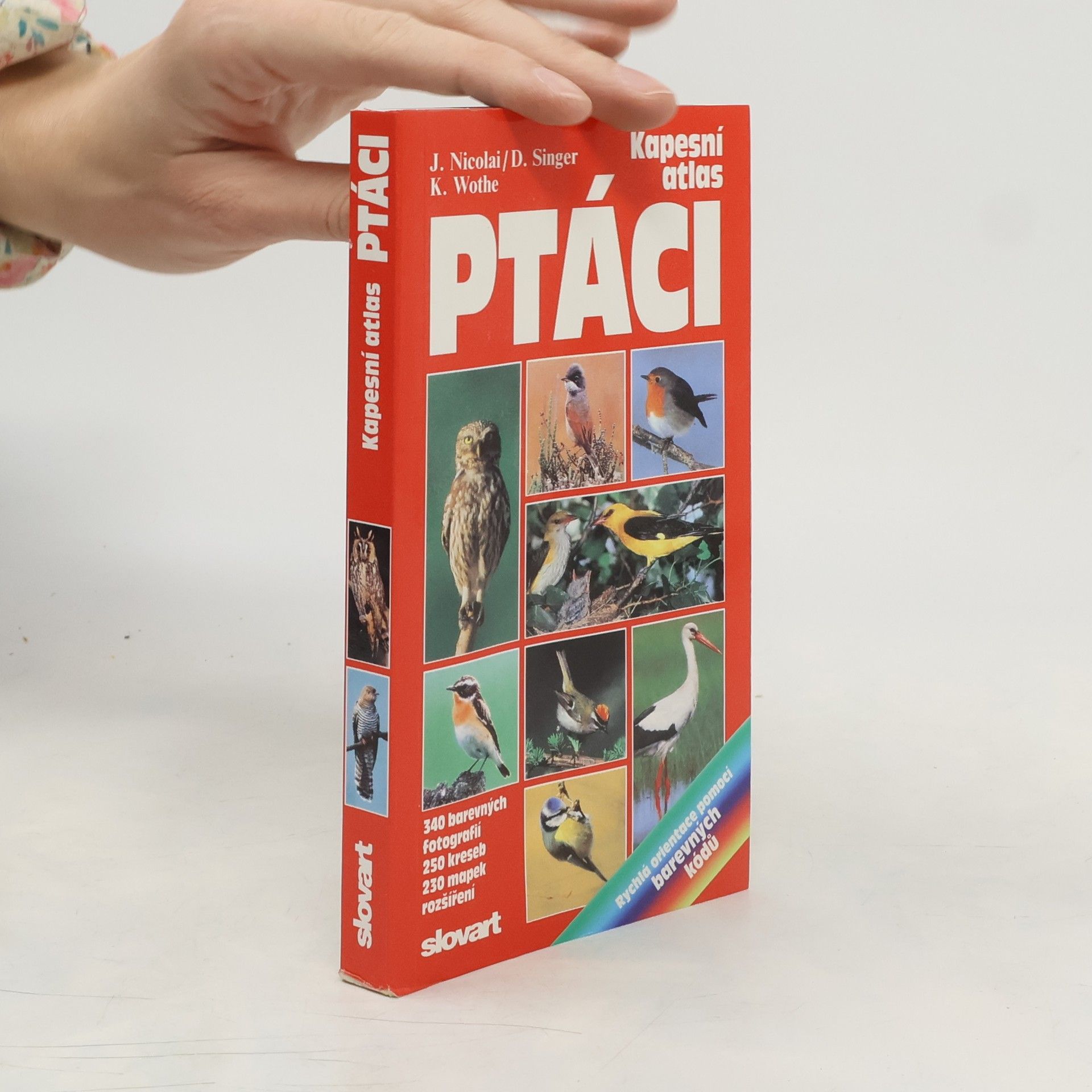 Detlef Singer Ptáci