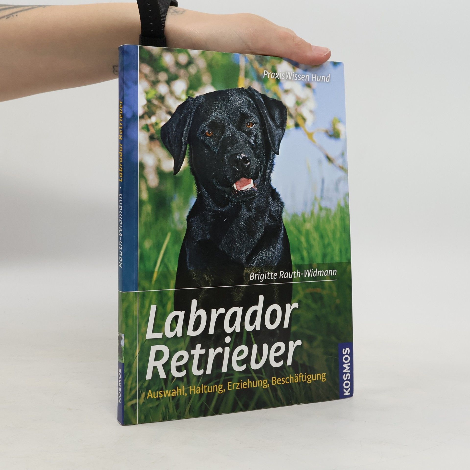 Brigitte Rauth-Widmann Labrador Retriever