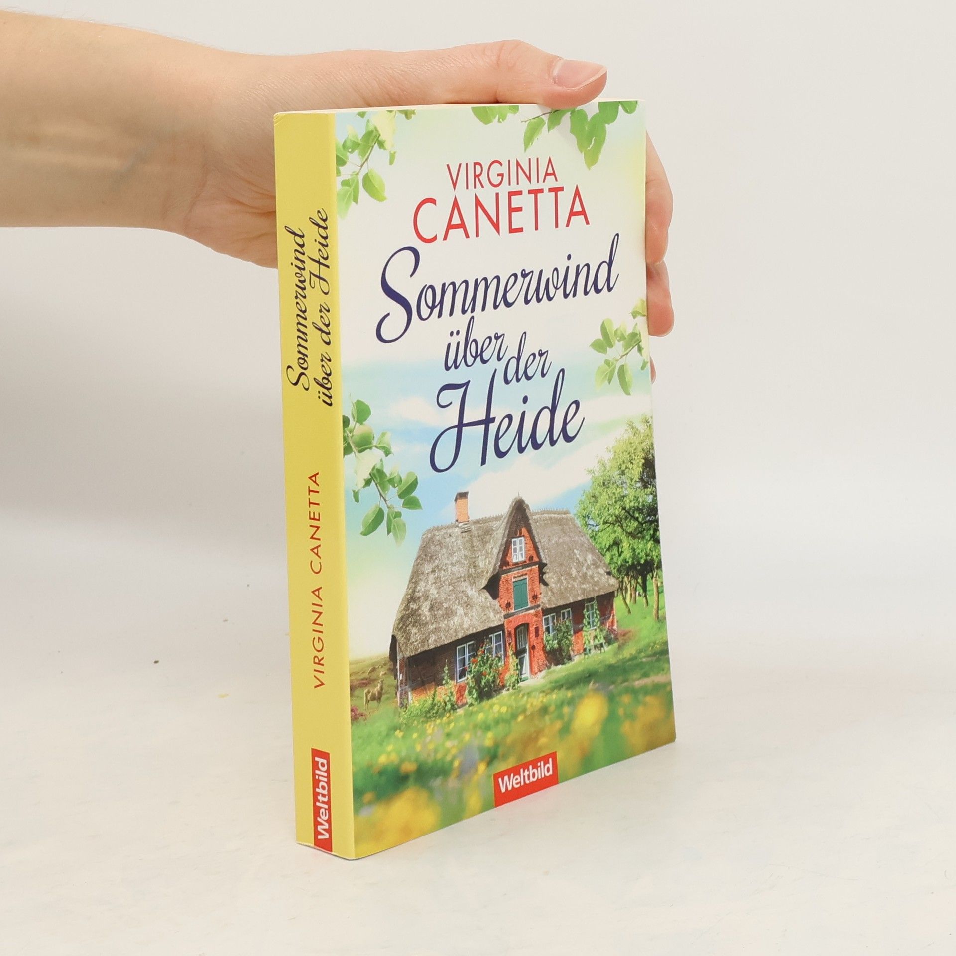 Virginia Canetta Sommerwind über der Heide