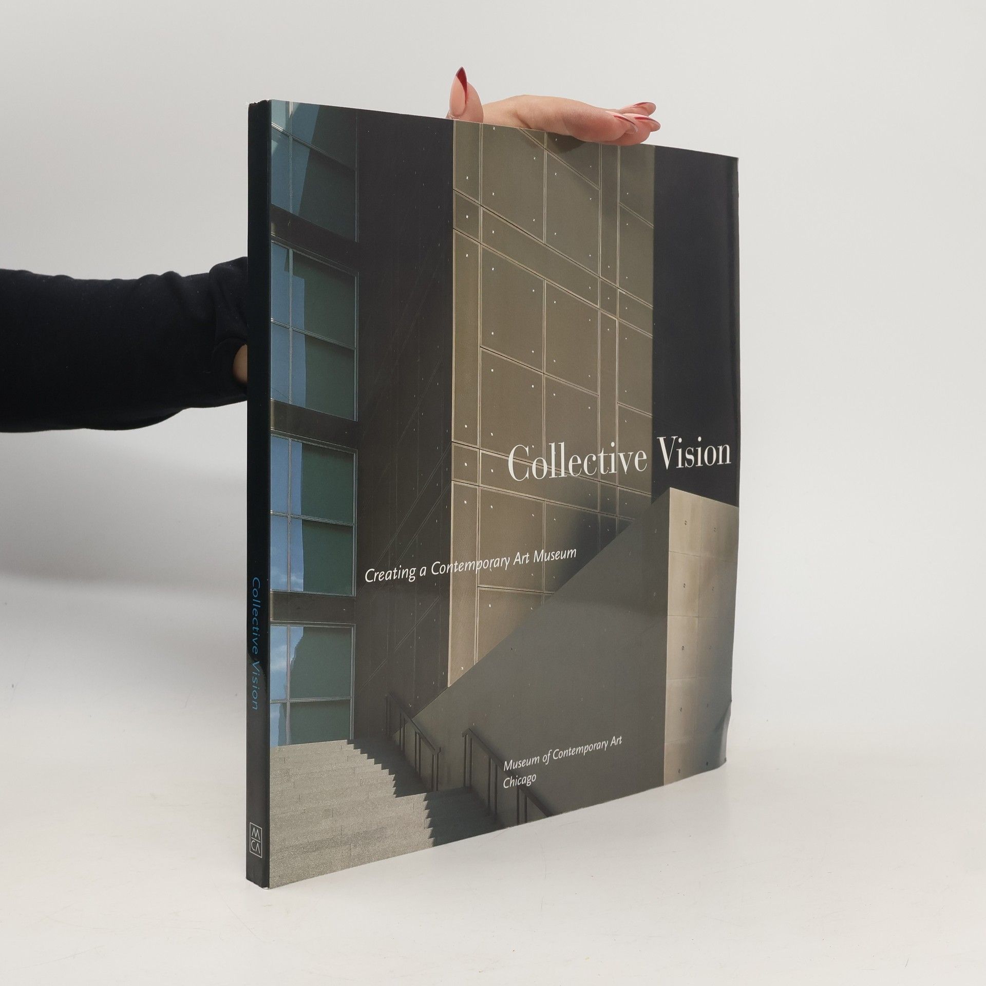 Museum of Contemporary Art Chicago Collective Vision