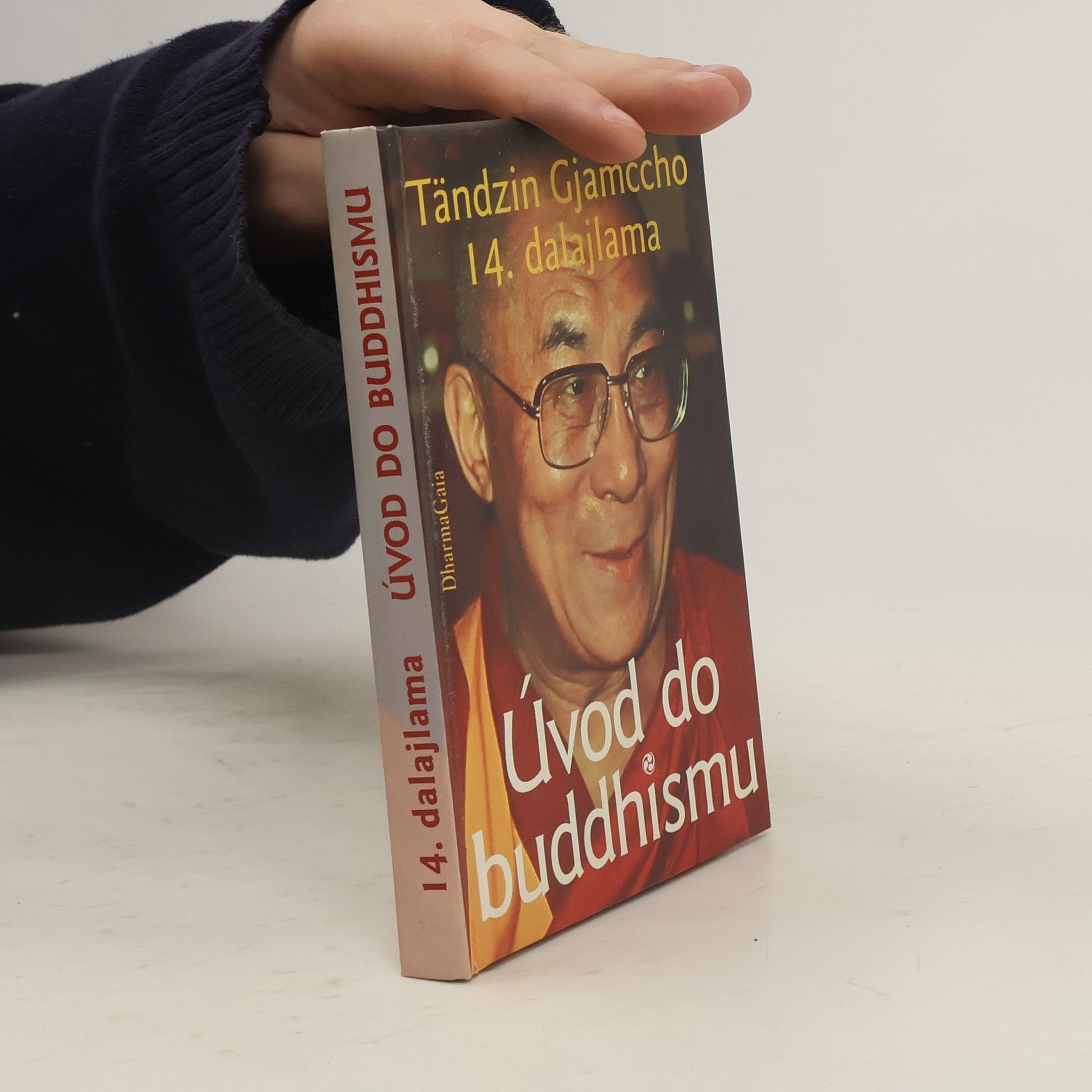 Bstan\'dzinrgyamtsho Úvod do buddhismu