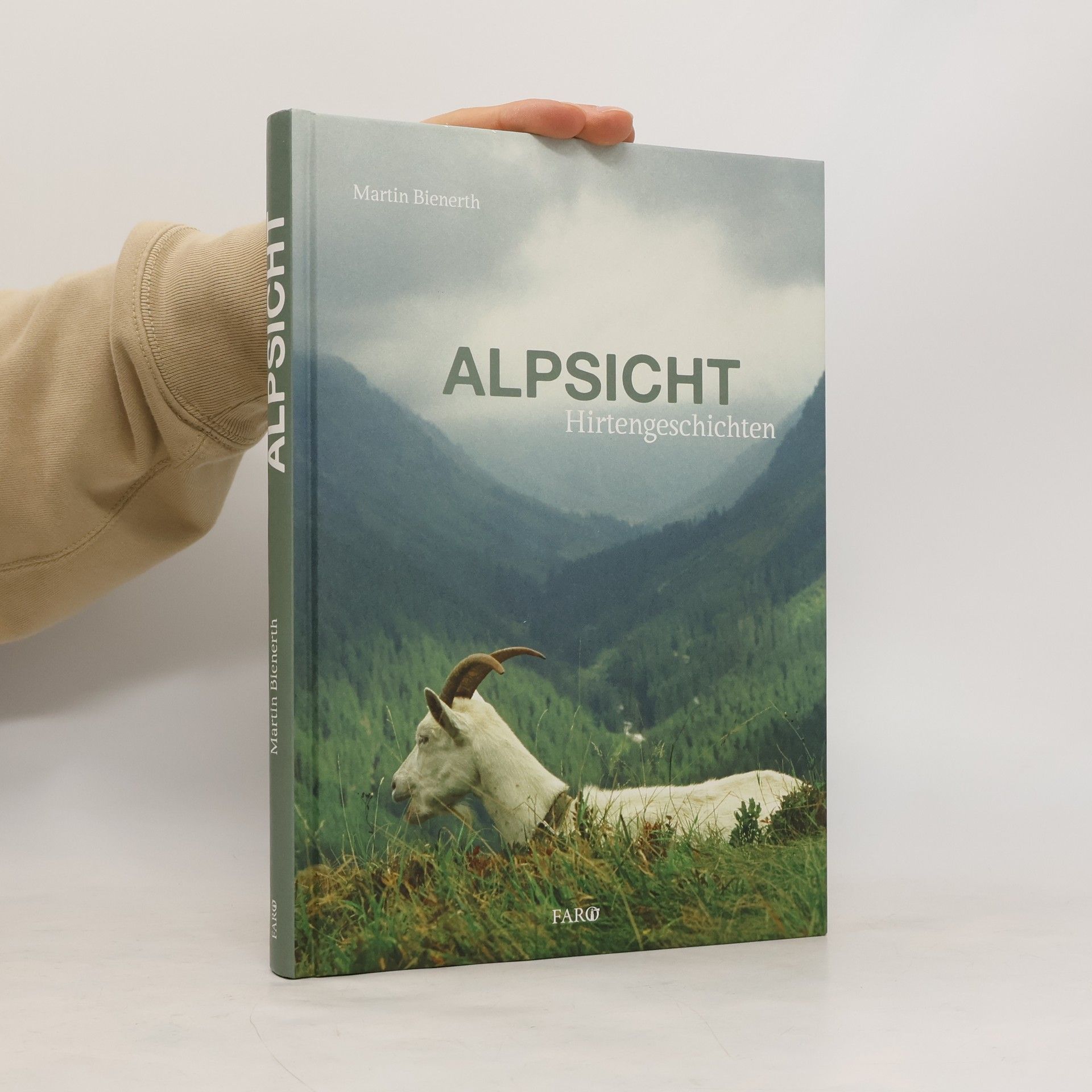 Alpsicht