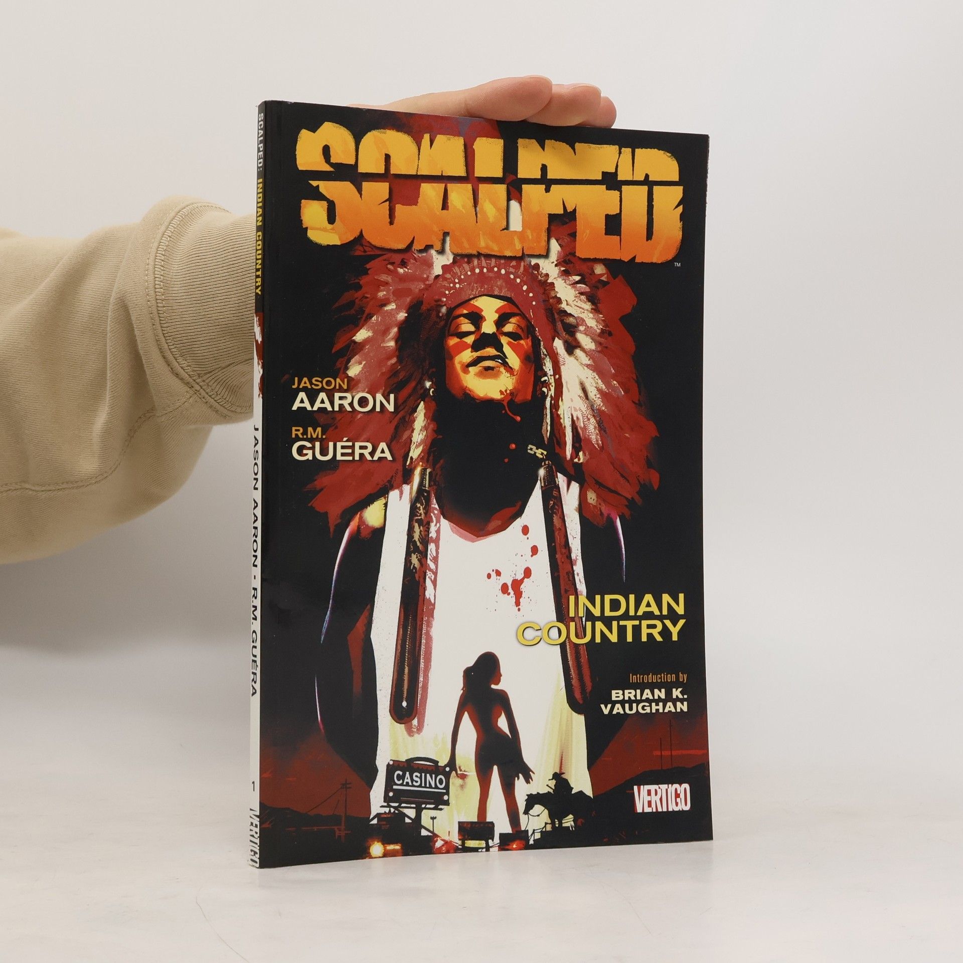 Jason Aaron Scalped : Indian country