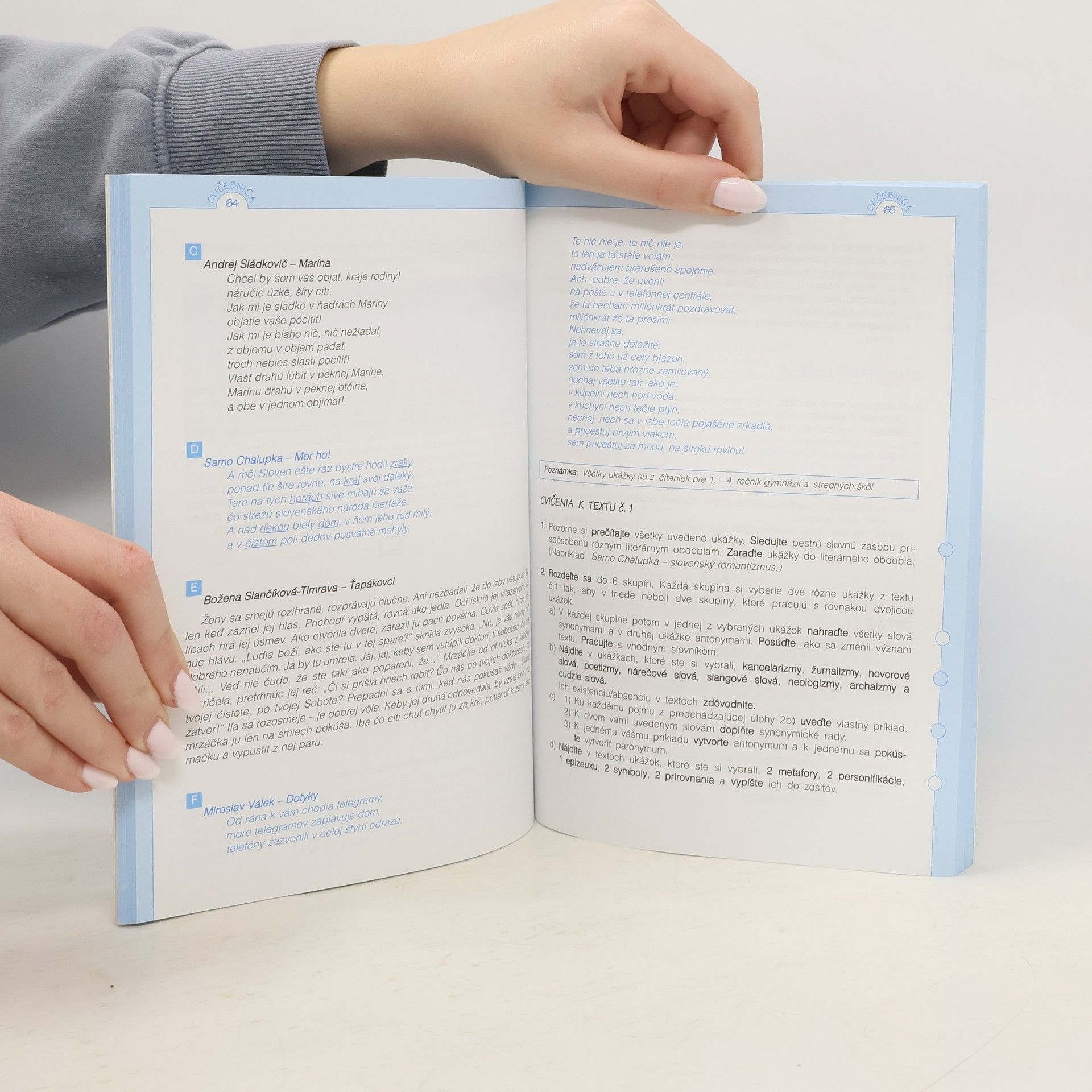 Autorenkollektiv Slovenský jazyk pre 1. ročník stredných škôl