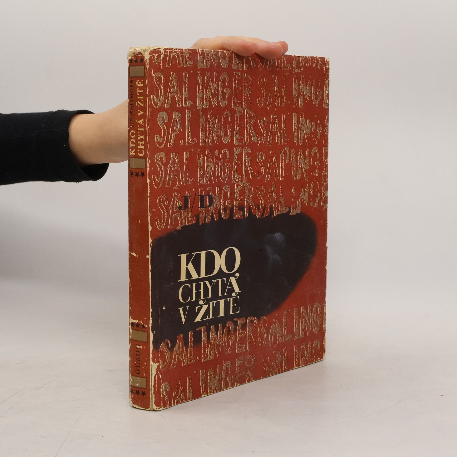 J. D. Salinger Kdo chytá v žitě