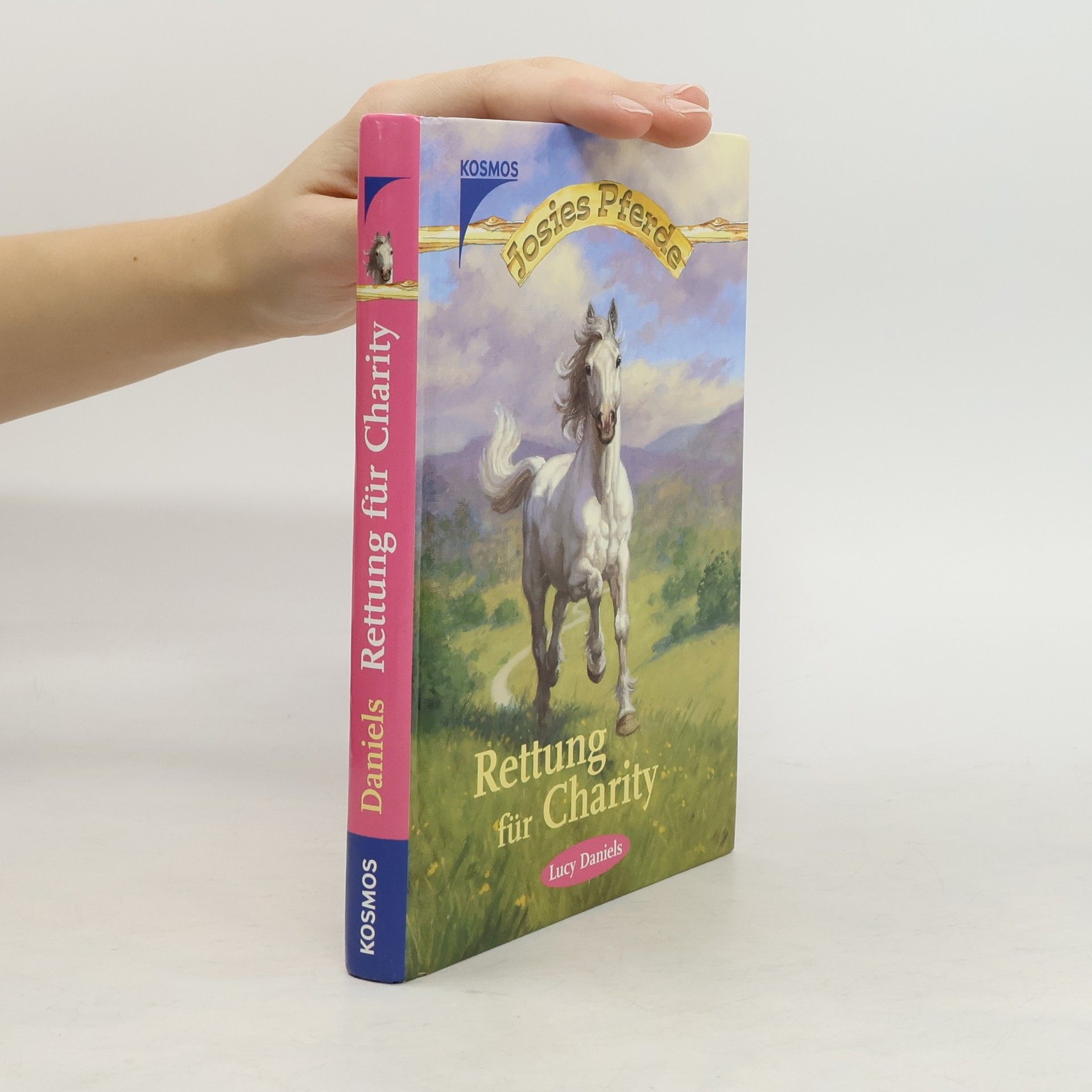 Lucy Daniels Josies Pferde: Rettung für Charity