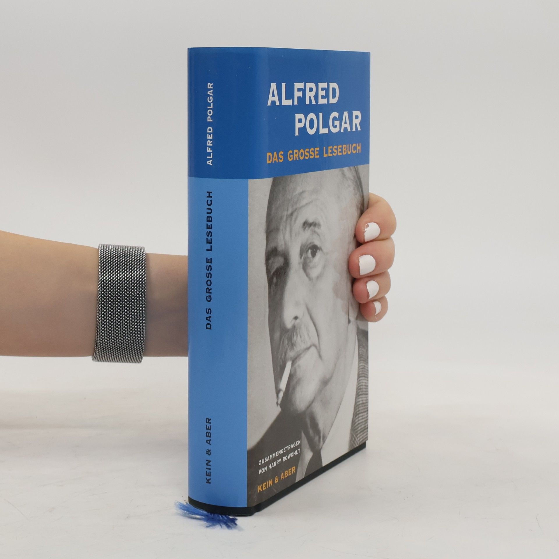 Alfred Polgar Das große Lesebuch