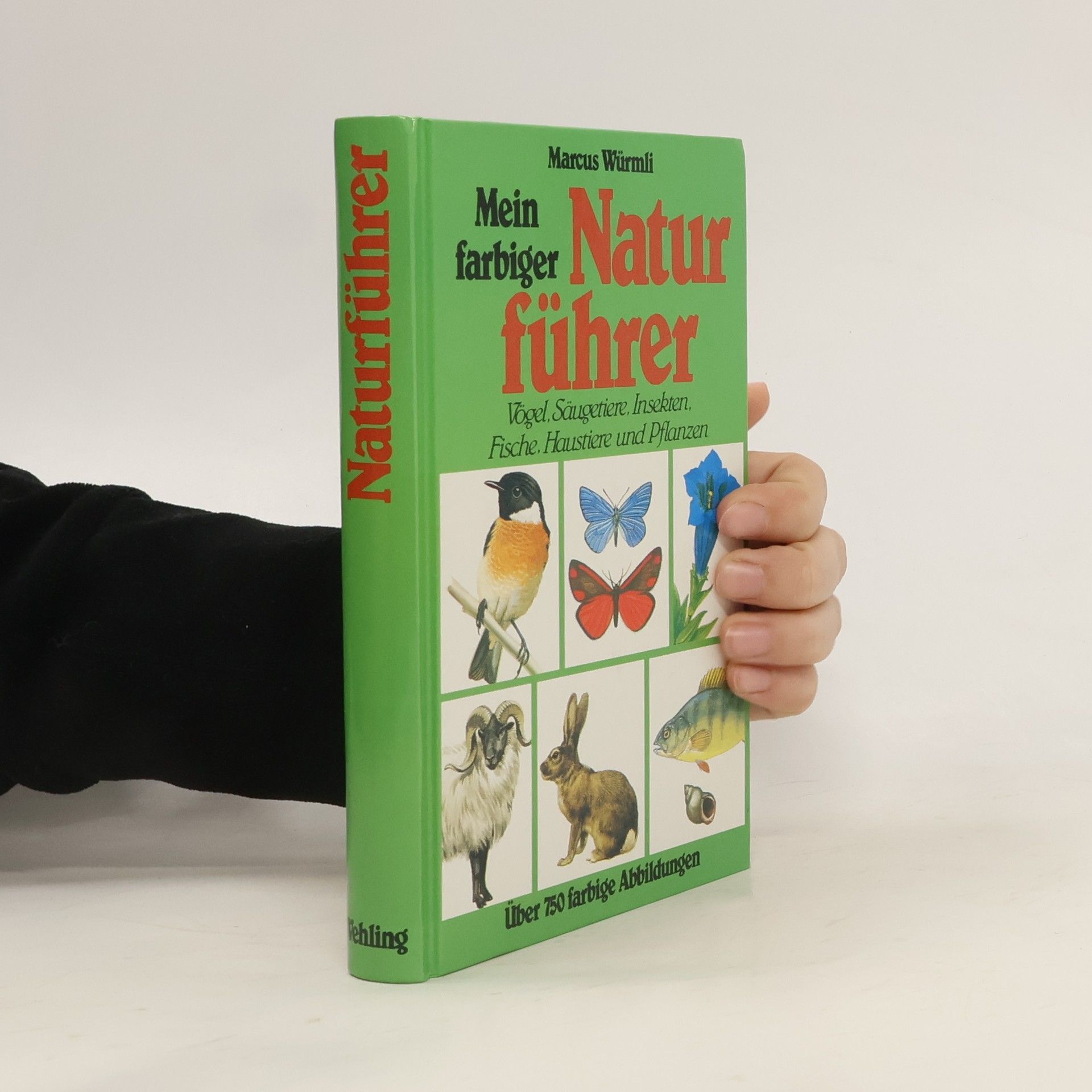 Marcus Würmli Mein farbiger Naturführer