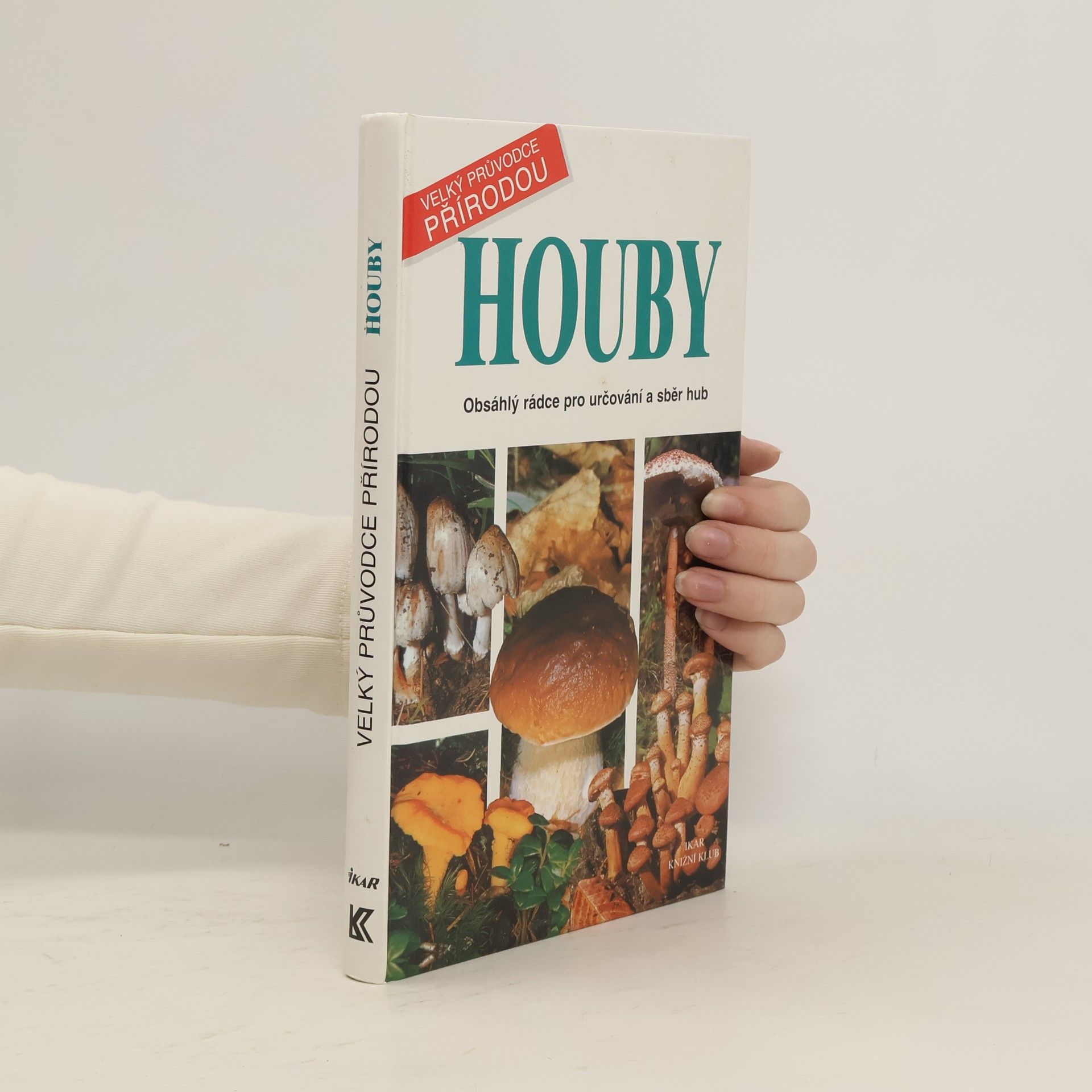 Laura Maggiora Houby. Obsáhlý rádce pro určování a sběr hub