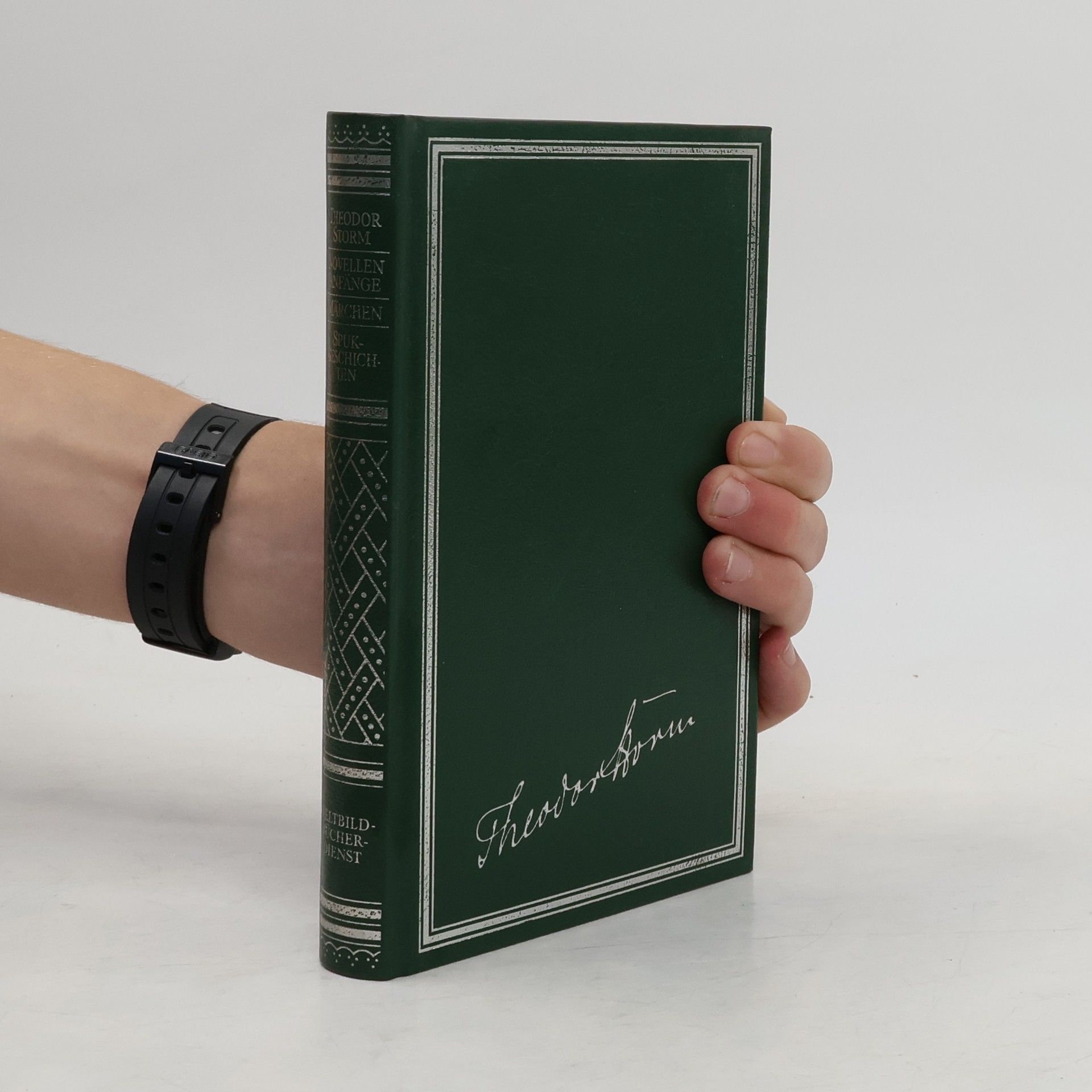 Theodor Storm Novellen Anfänge. Märchen. Spuk-Geschichten