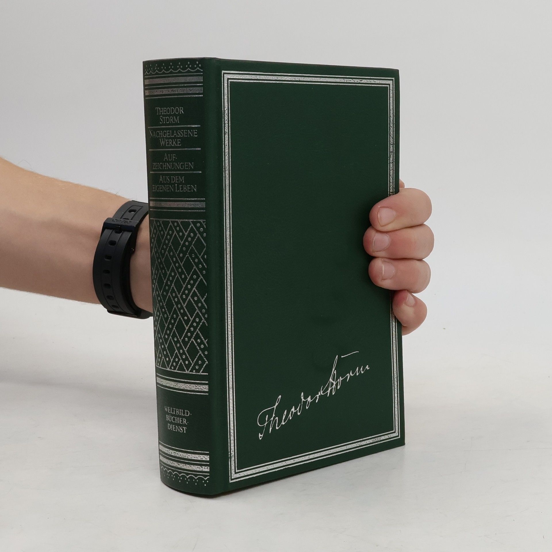 Theodor Storm Nachgelassene Werke. Aufzeichnungen. Aus dem eigenen Leben