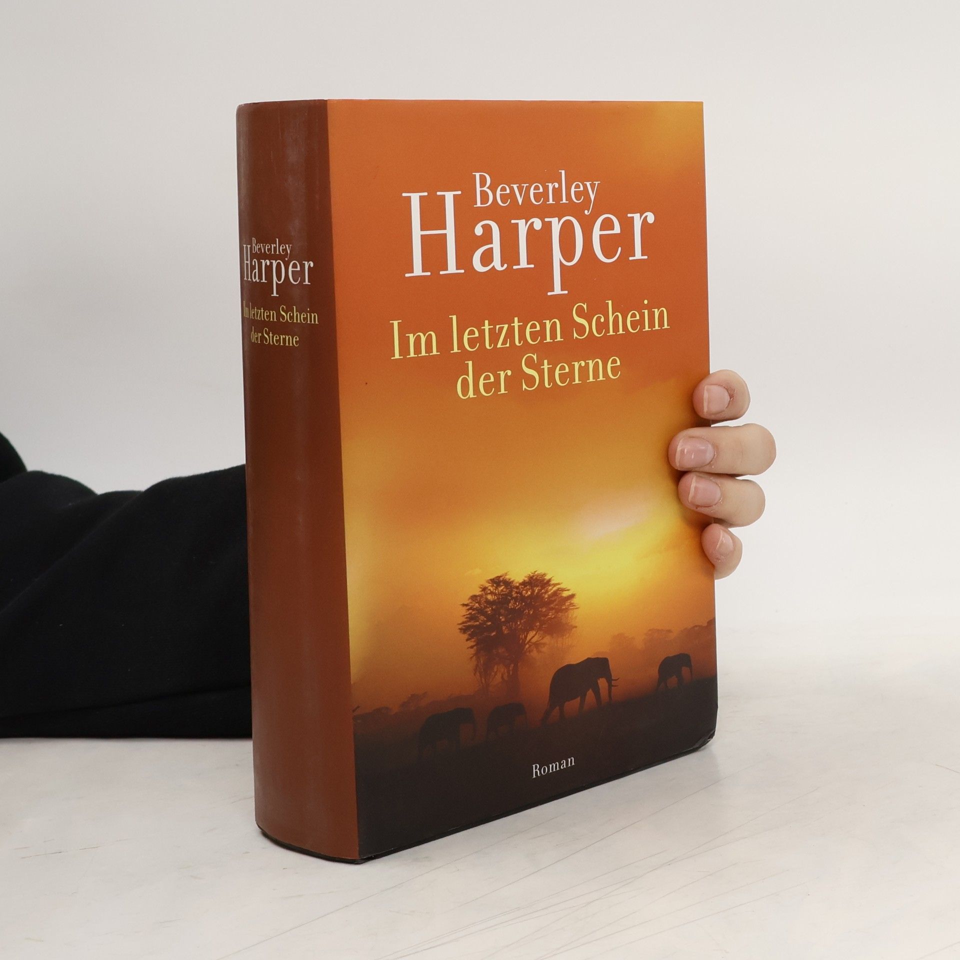 Beverley Harper Im letzten Schein der Sterne