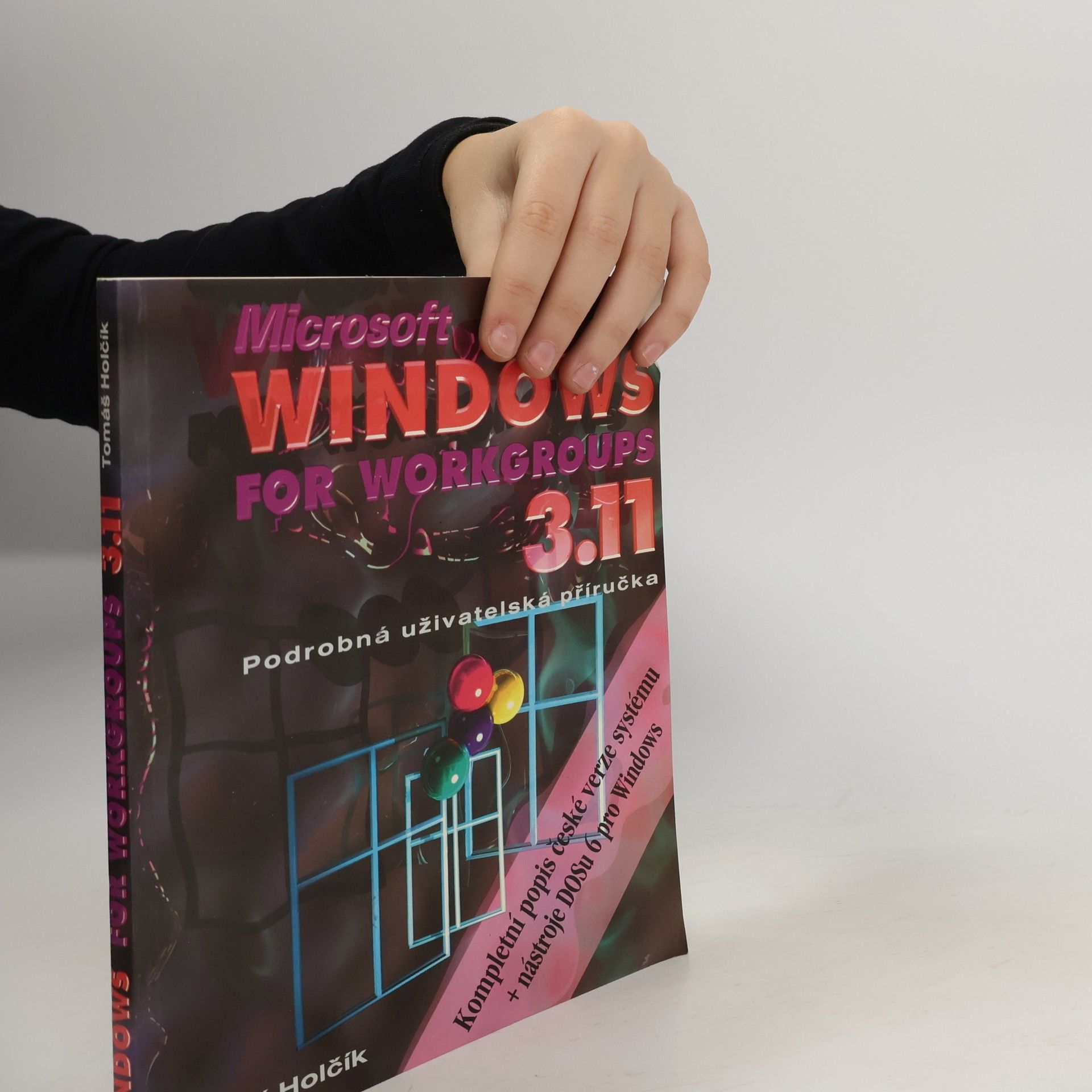Tomáš Holčík Microsoft Windows for Workgroups 3.11