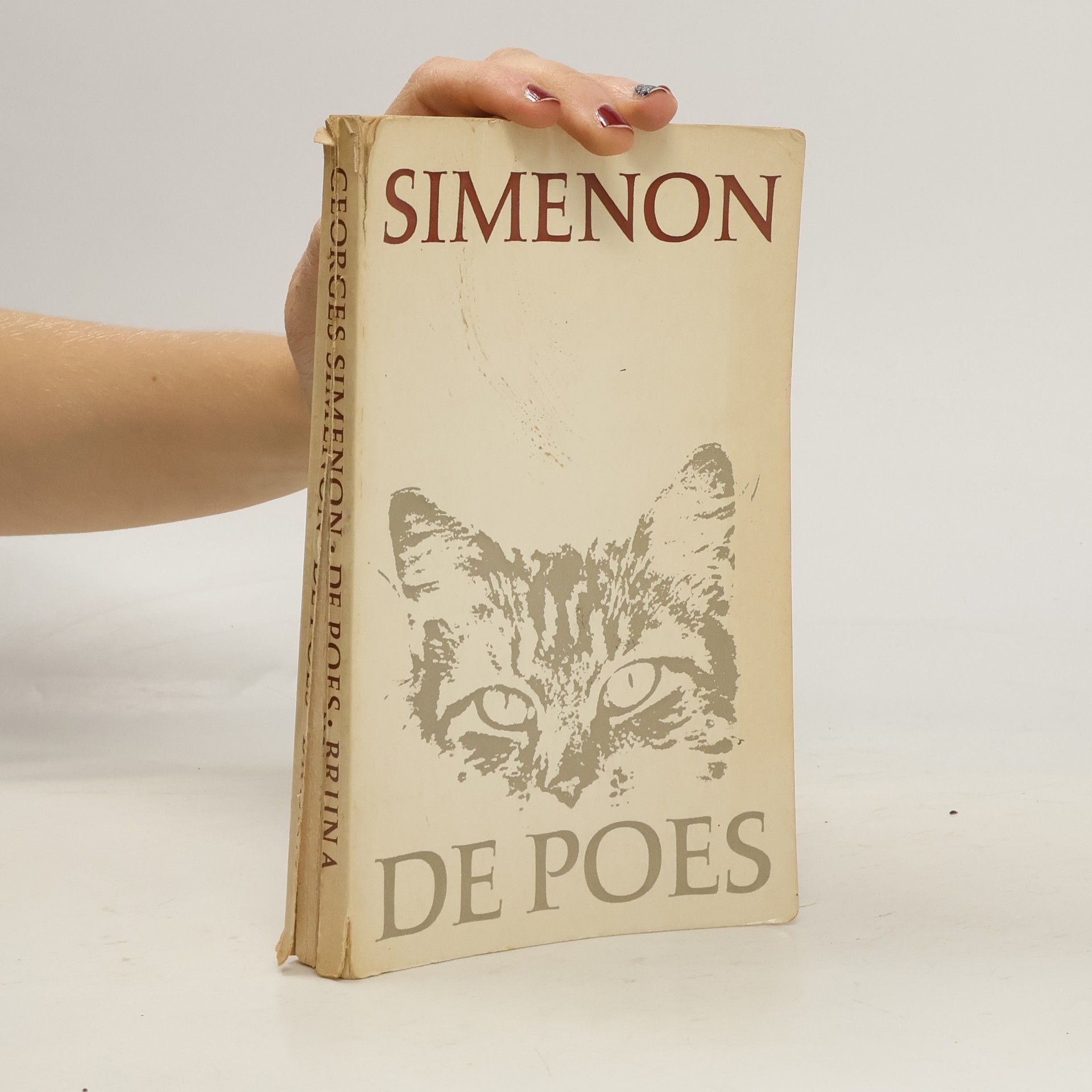 Georges Joseph Christian Simenon De poes