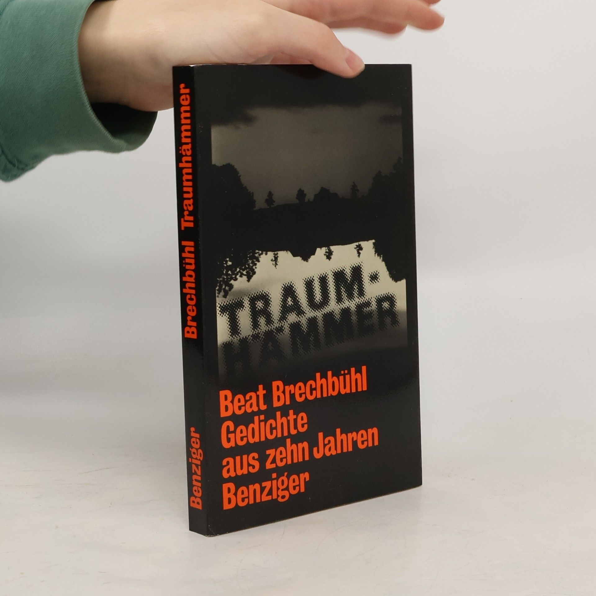 Beat Brechbühl Traumhämmer