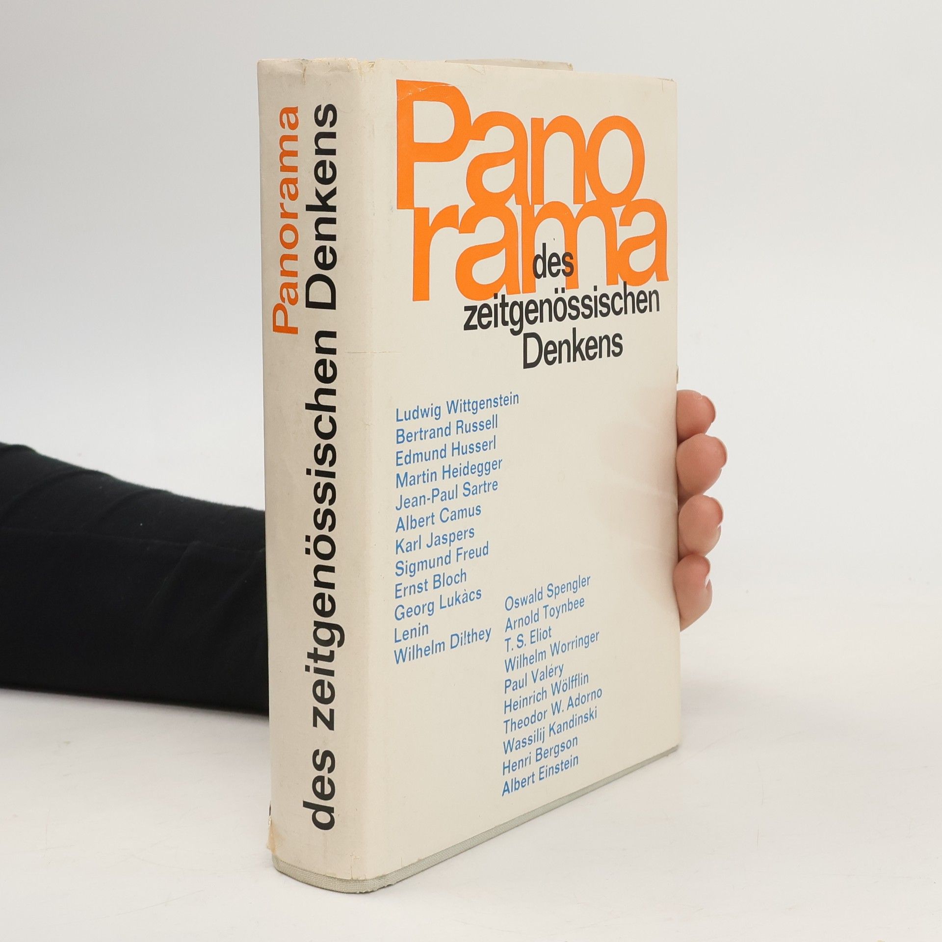 Collectif d'auteurs Panorama des zeitgenössischen Denkens