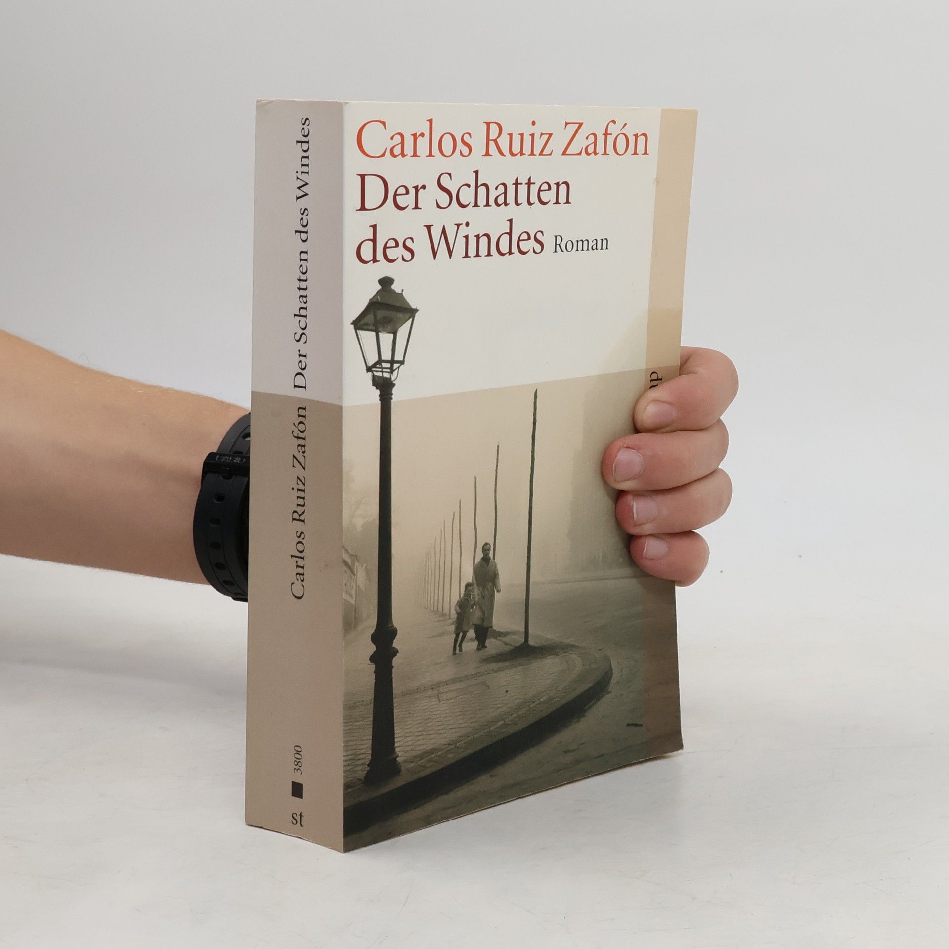 Der Schatten des Windes