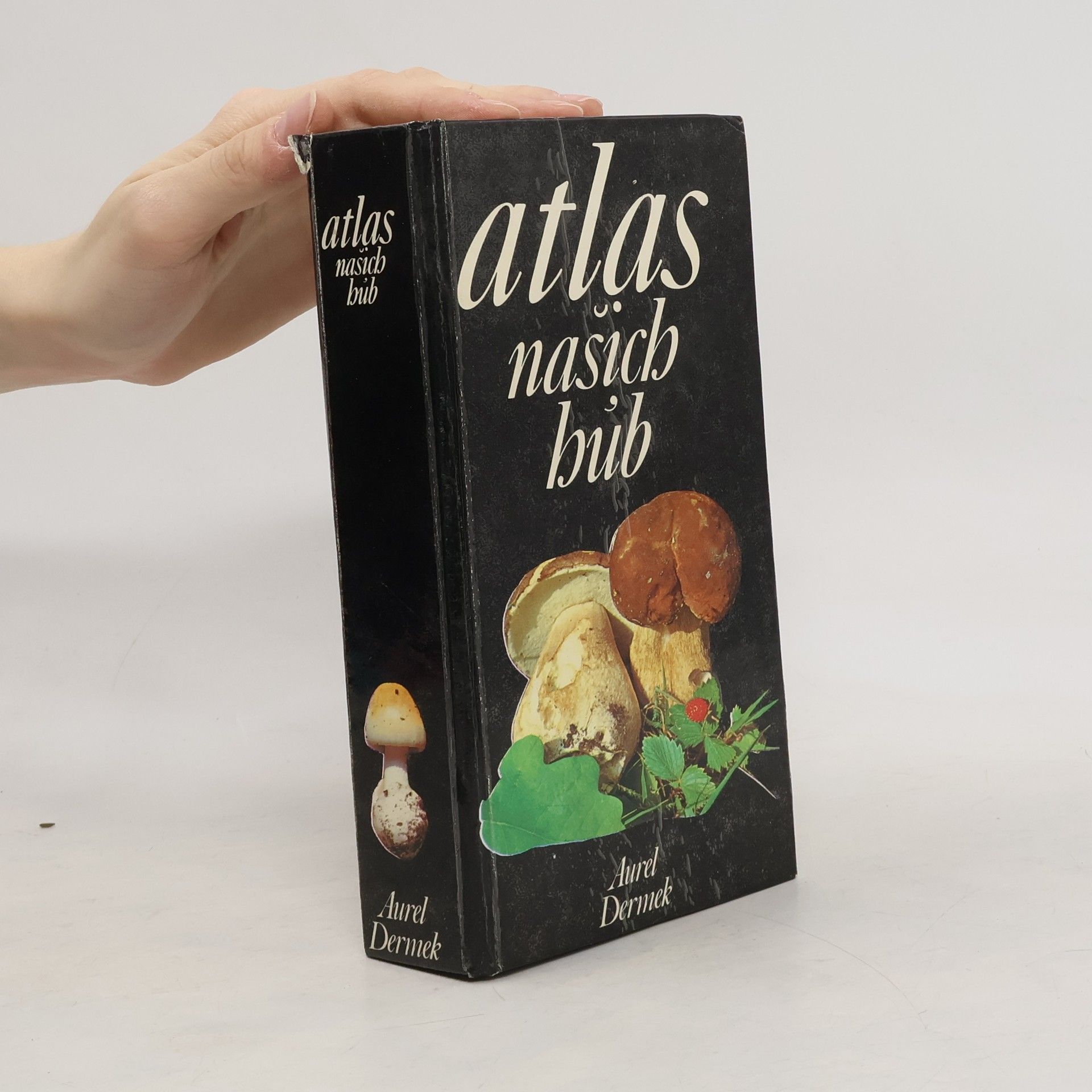 Aurel Dermek Atlas našich húb