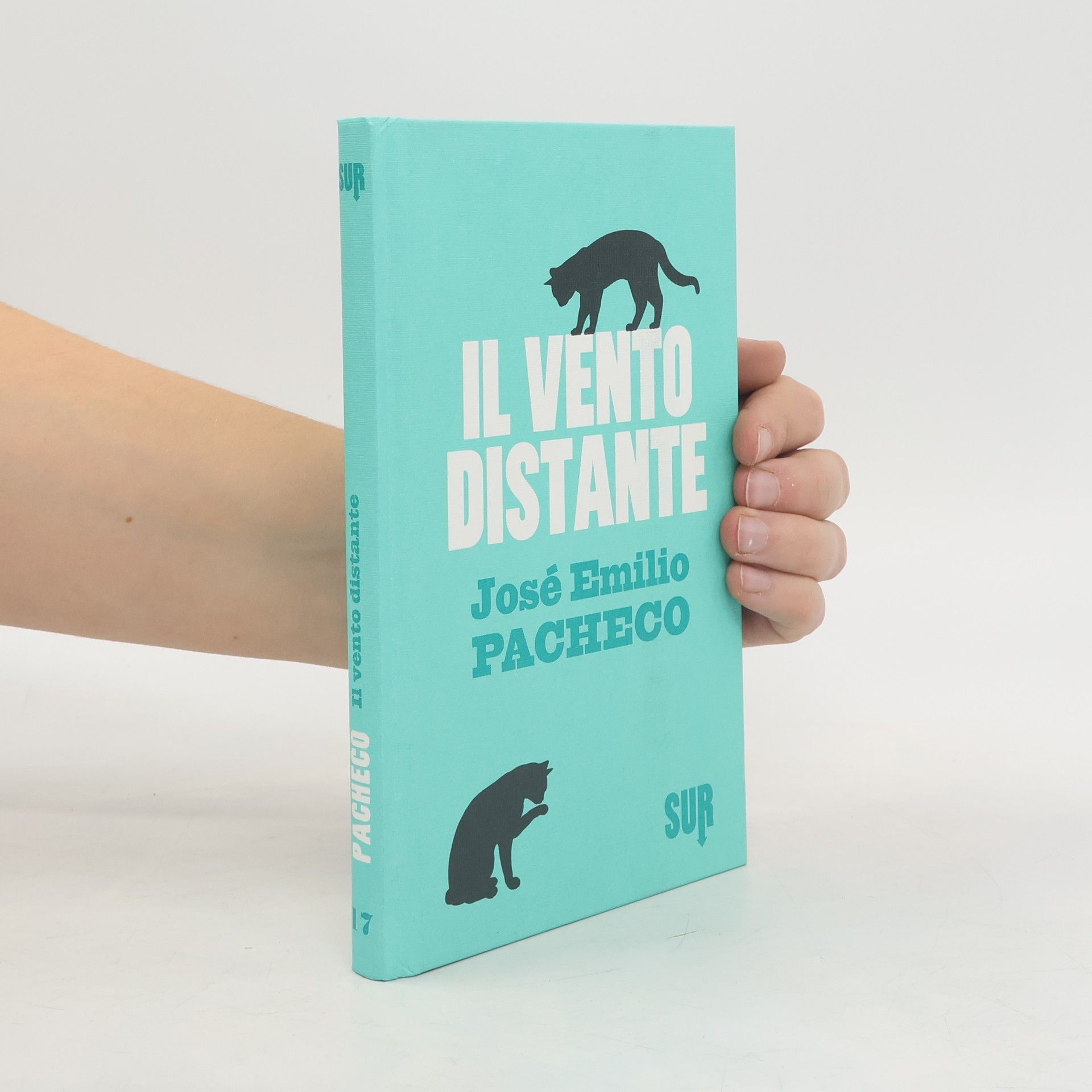 José Emilio Pacheco Il vento distante