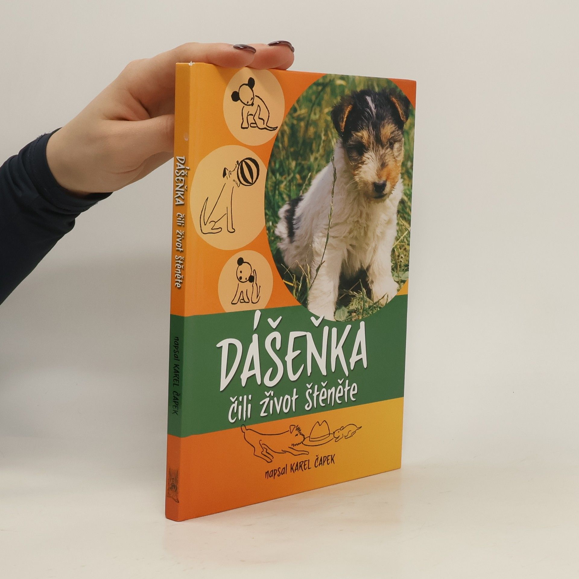 Karel Čapek Dášenka čili život štěněte