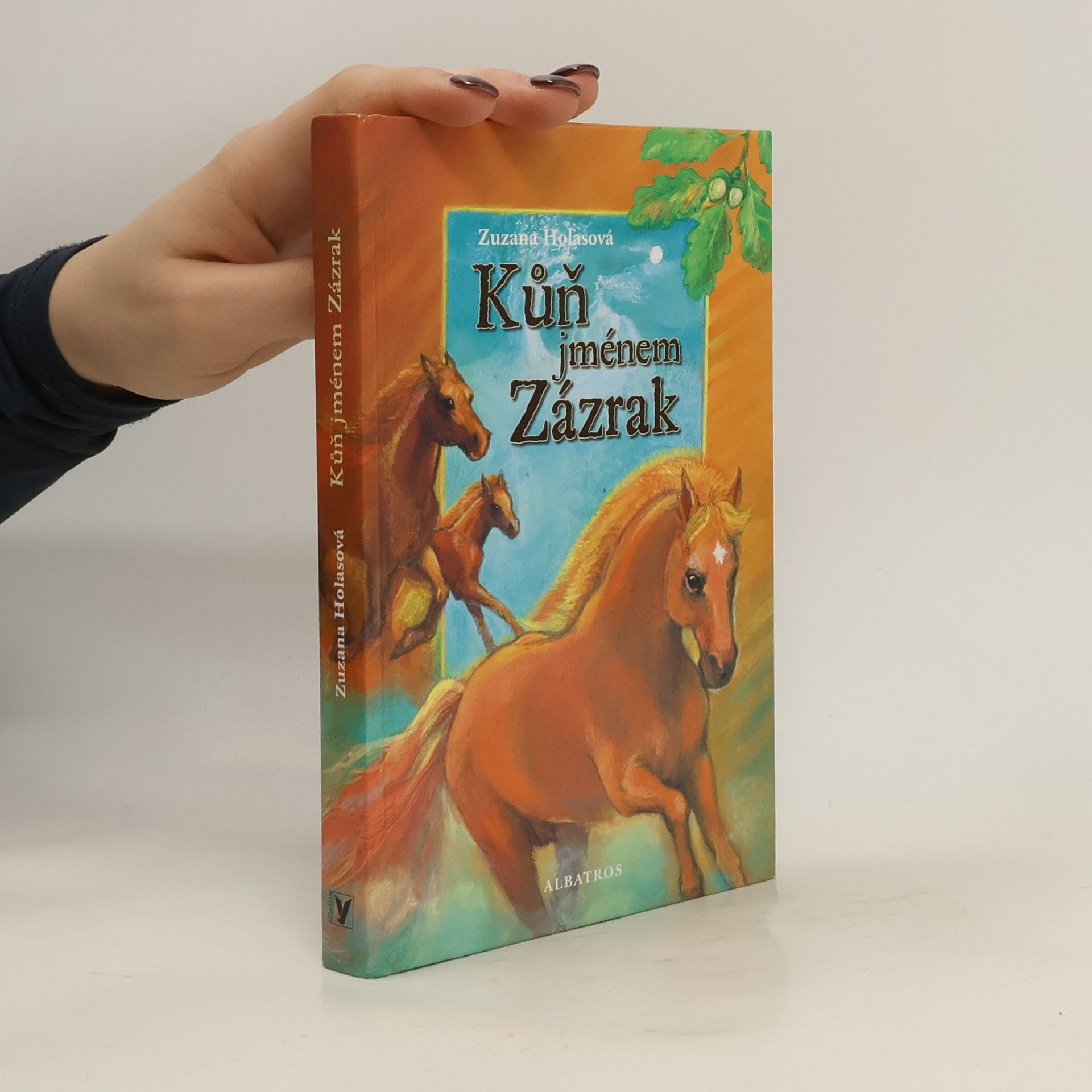 Zuzana Holasová Kůň jménem Zázrak