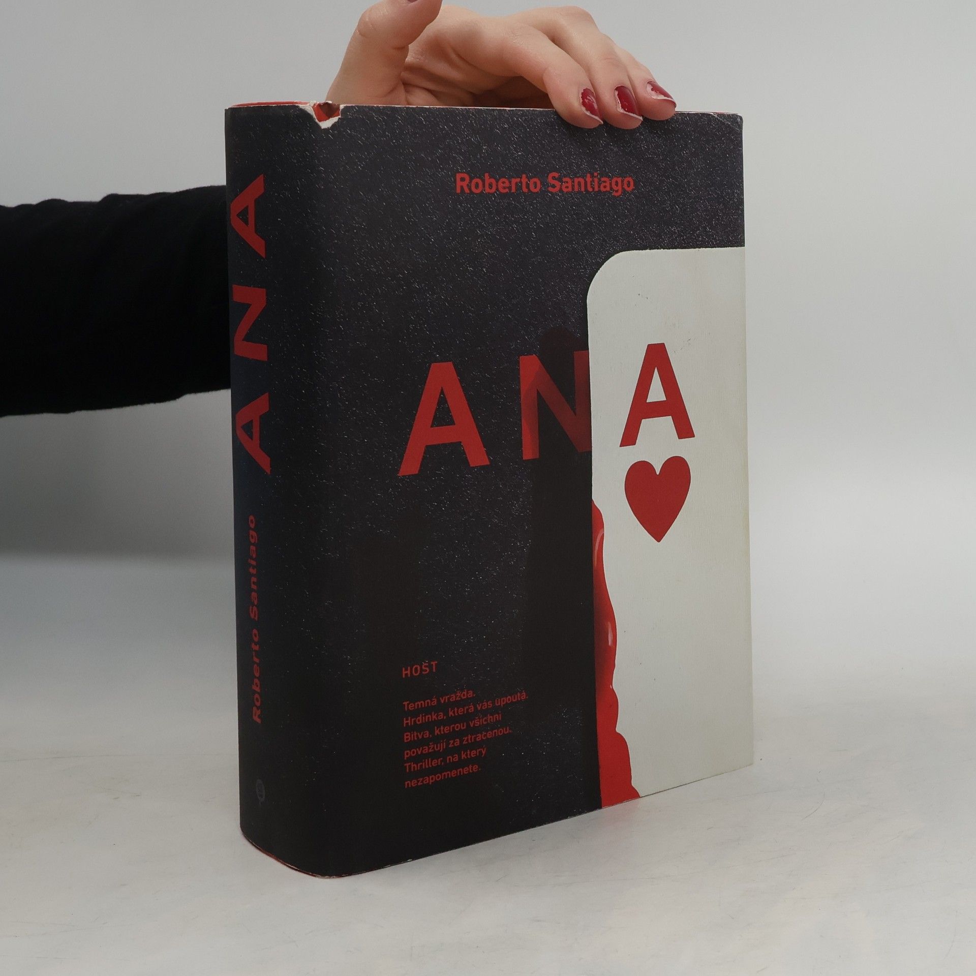 Roberto Santiago Ana