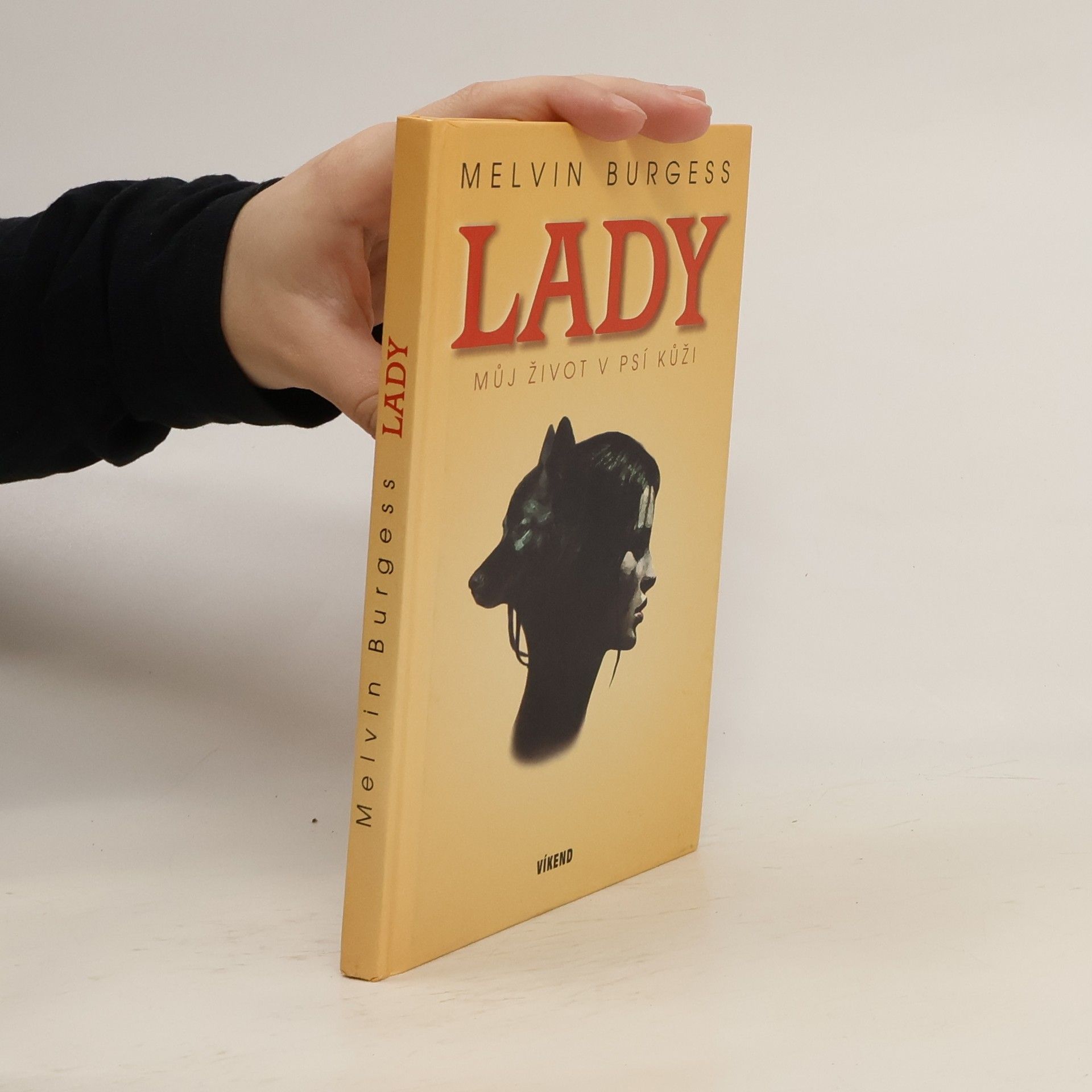 Melvin Burgess Lady. Můj život v psí kůži