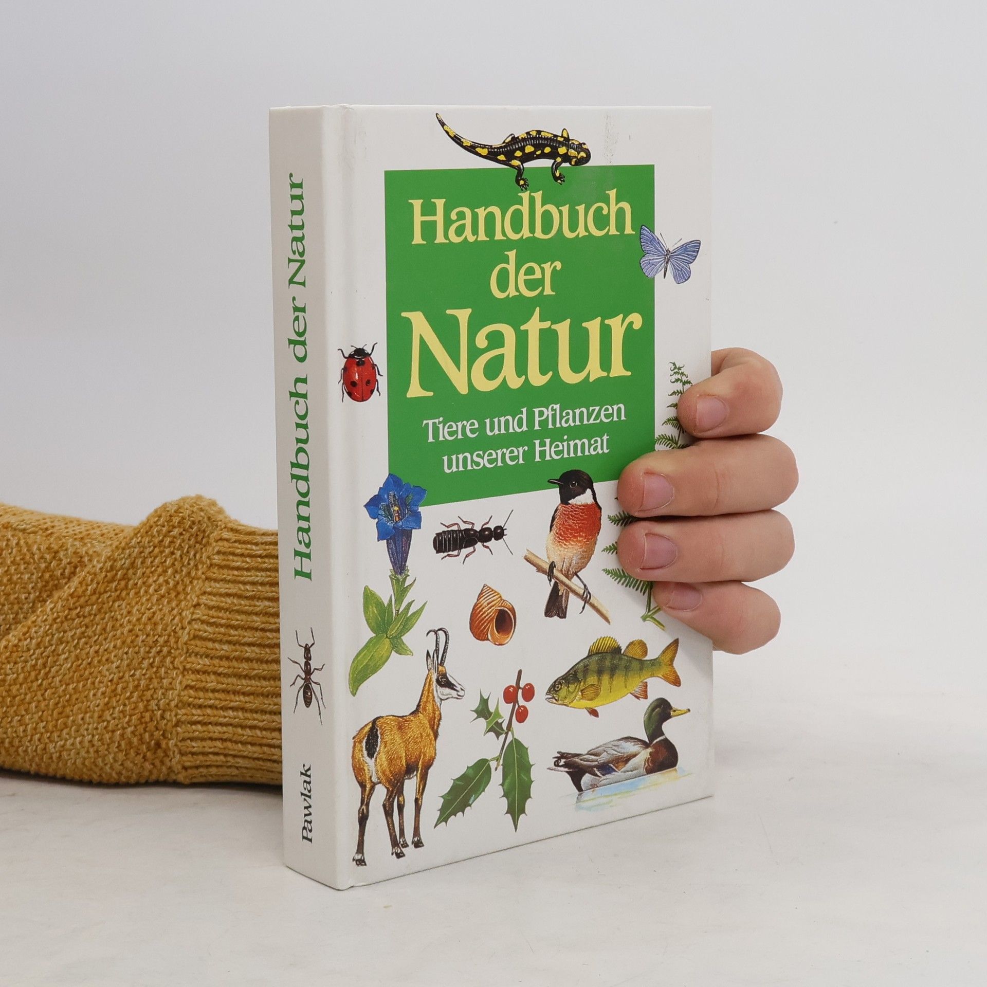 Marcus Würmli Handbuch der Natur