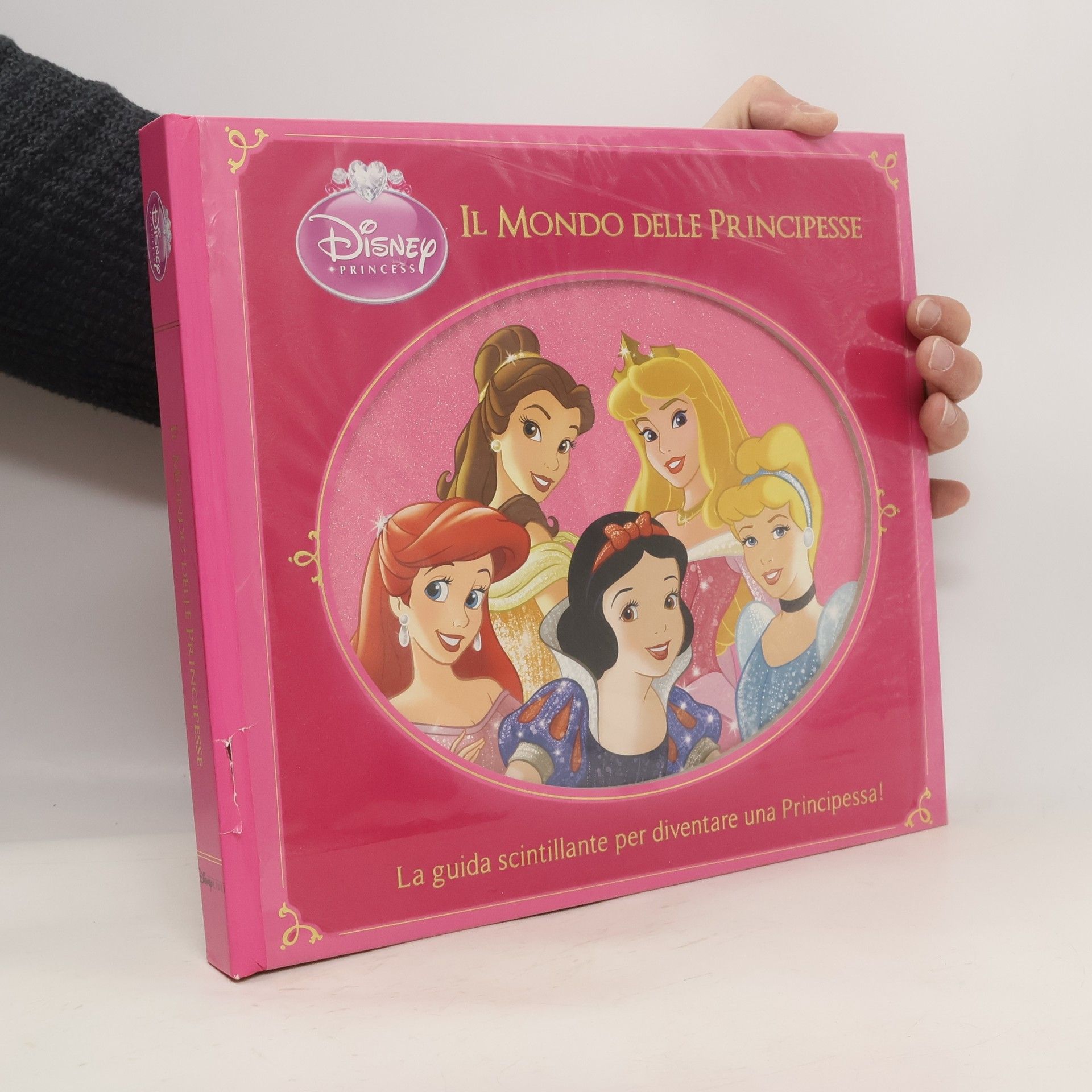 Autores varios Il mondo delle principesse