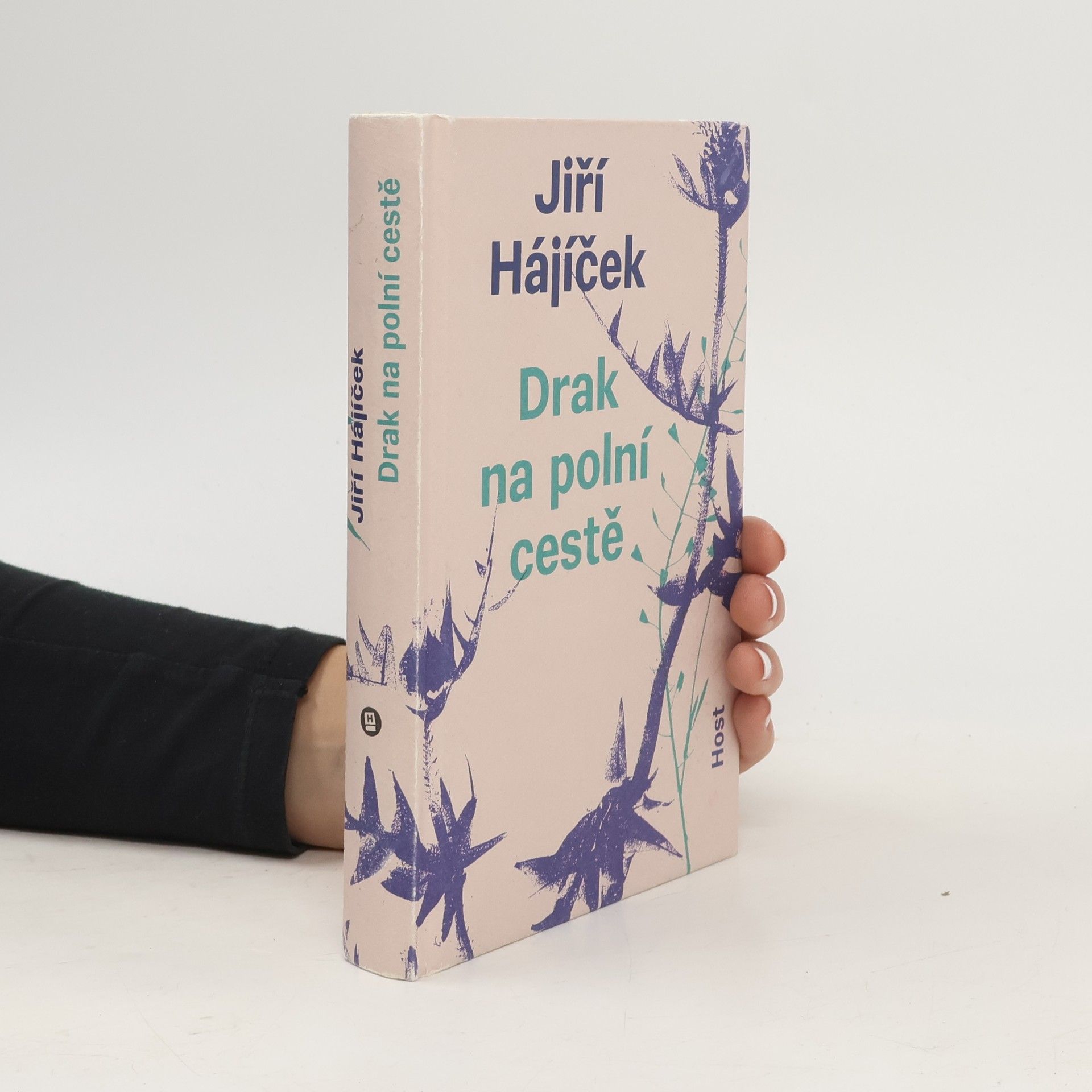 Jiří Hájíček Drak na polní cestě