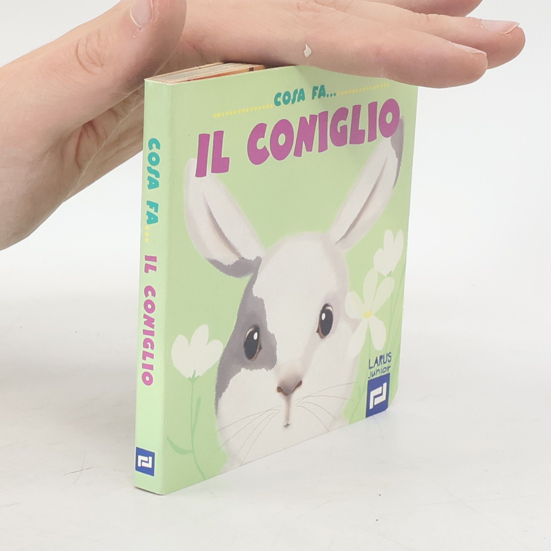 Kolektiv autorů Cosa fa... il coniglio