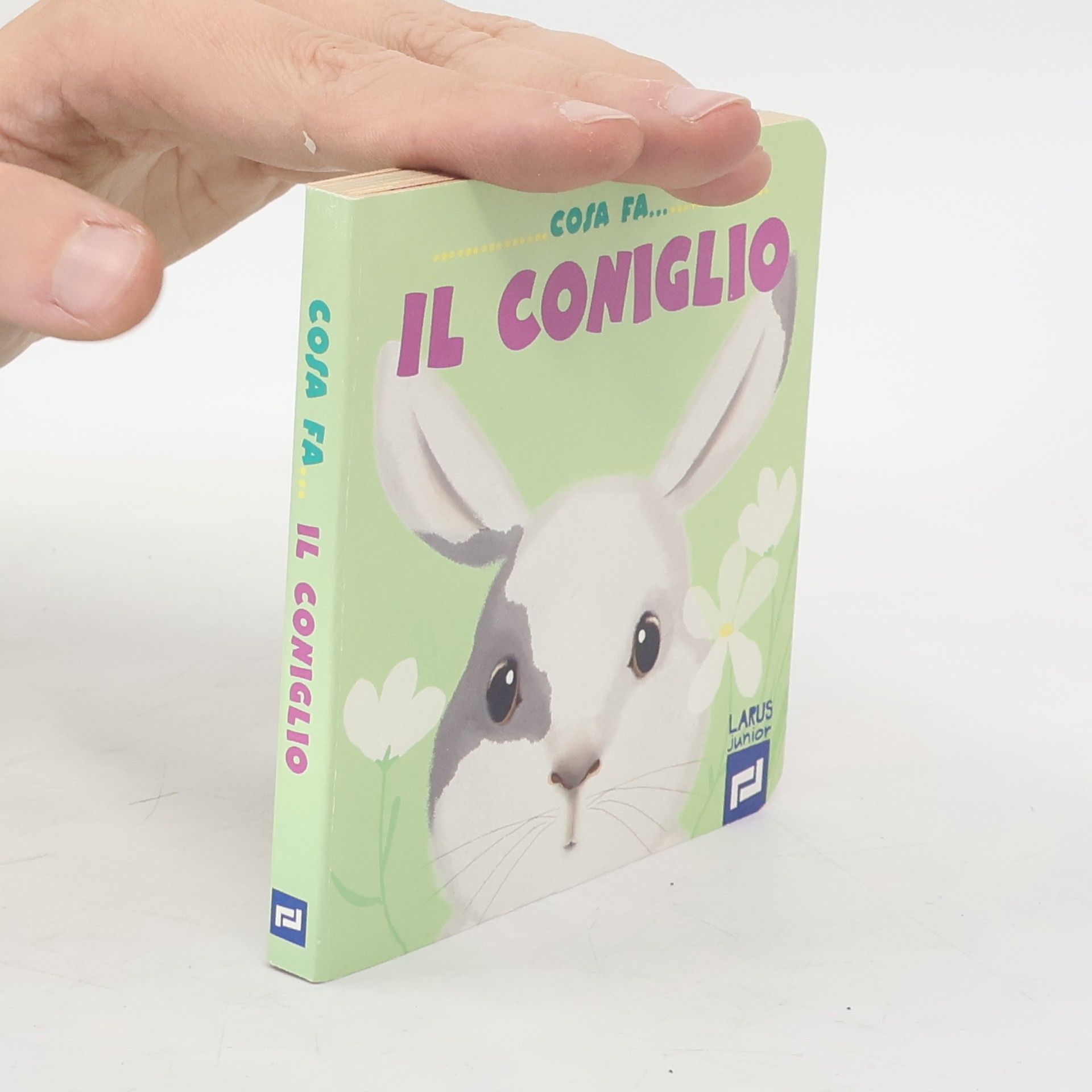 Kolektív autorov Cosa fa... il coniglio