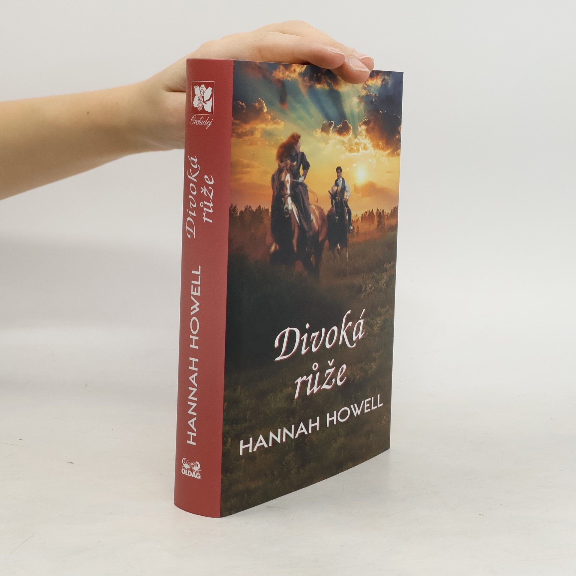 Hannah Howell Divoká růže