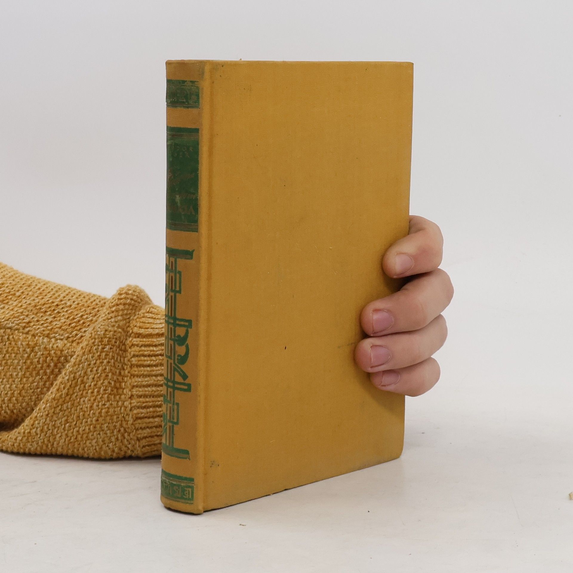 Sturm über dem Himalaja