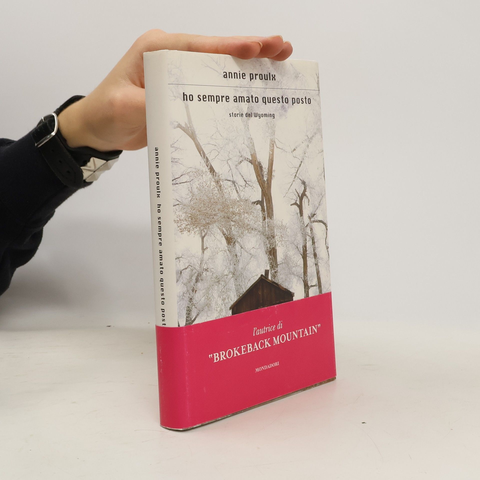 Annie Proulx Ho sempre amato questo posto