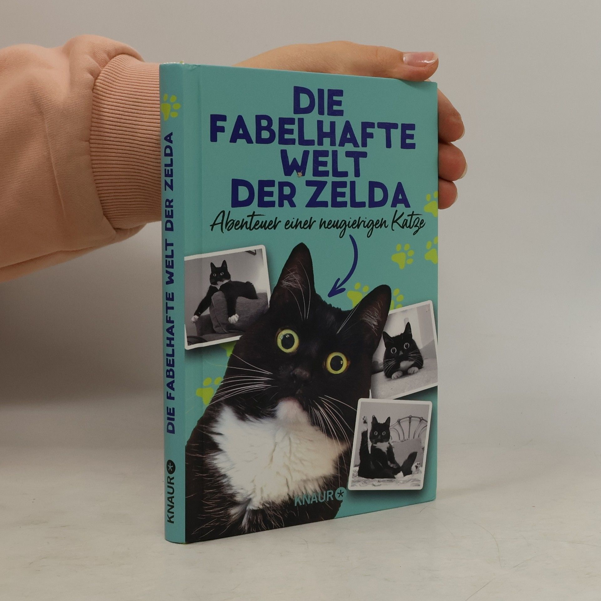 Zelda Die fabelhafte Welt der Zelda