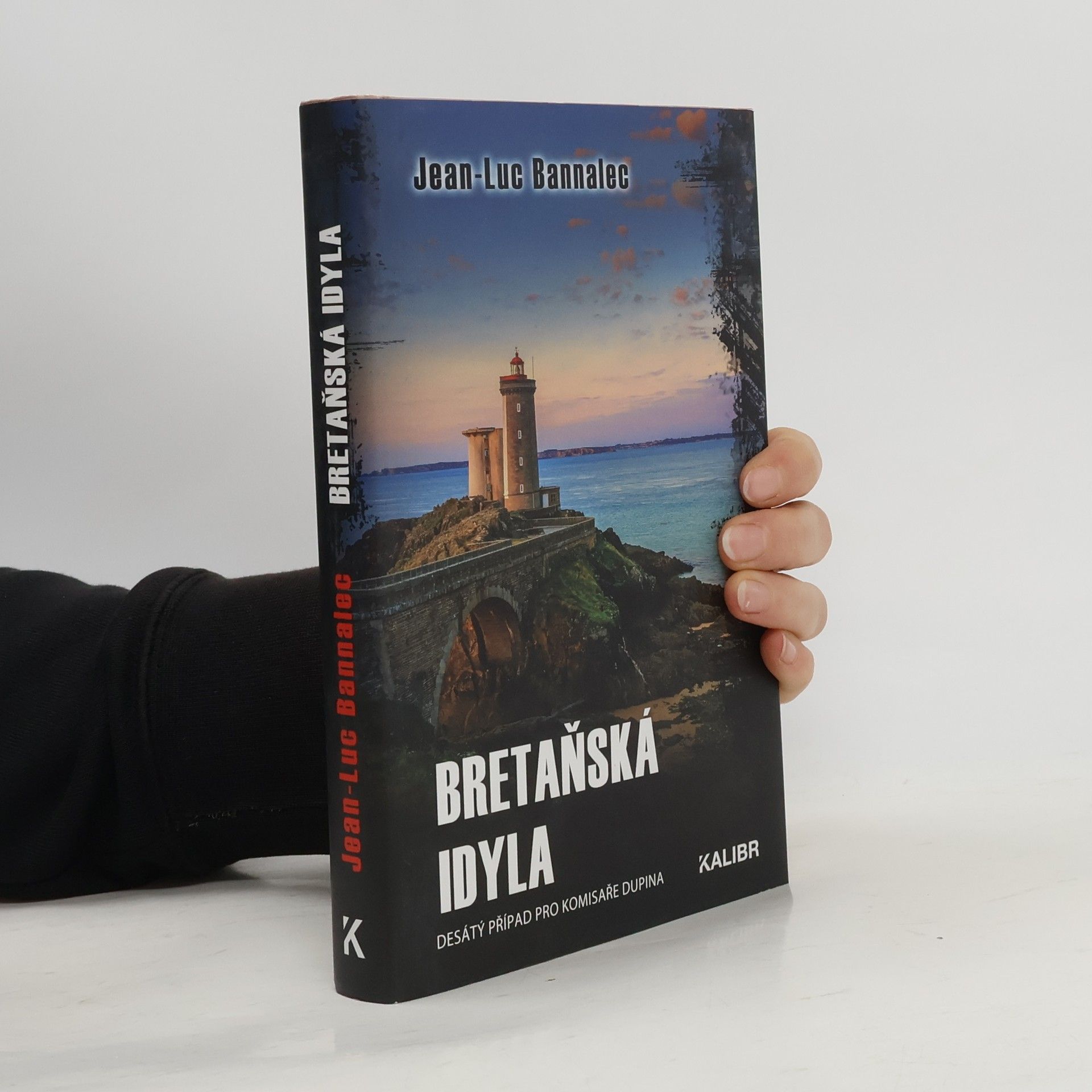 Jörg Bong Bretaňská idyla : desátý případ pro komisaře Dupina