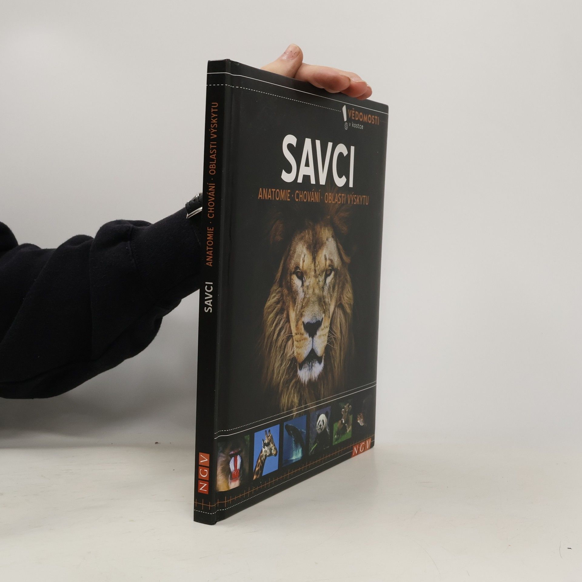 Martin Sobkuljak Savci