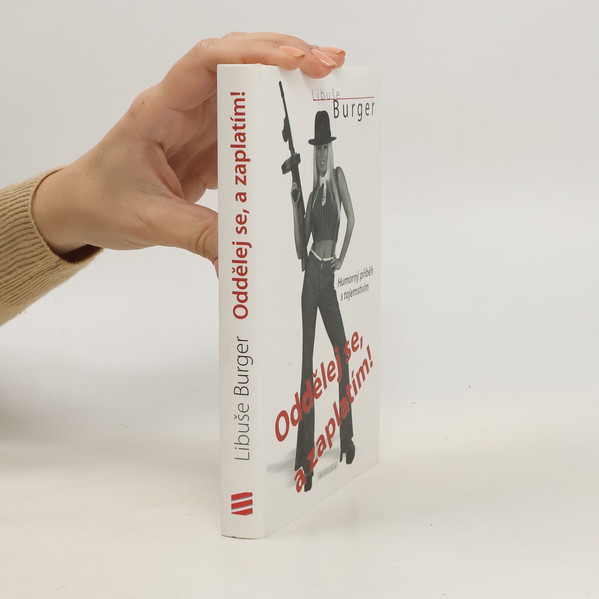 Libuše Burger Oddělej se, a zaplatím! : humorný příběh s tajemstvím