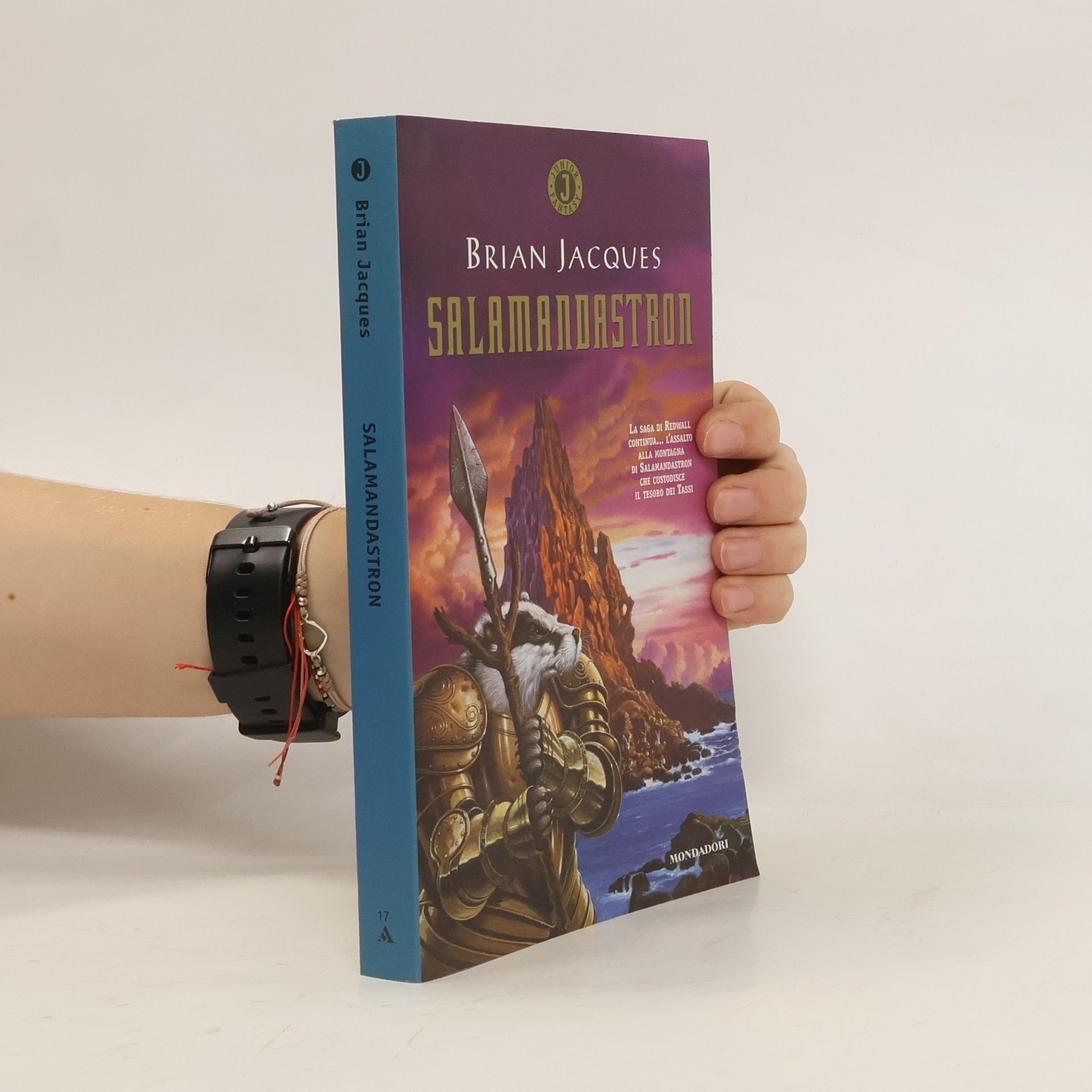 Brian Jacques Salamandastron